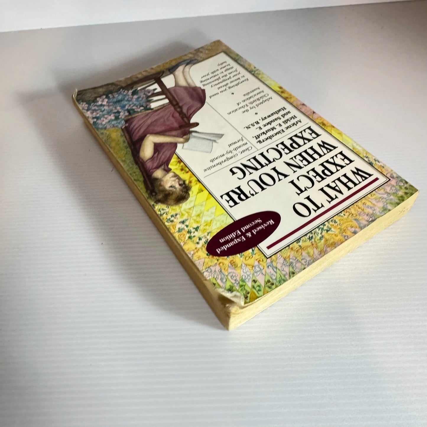 What To Expect When You're Expecting - Arlene Eisenberg, Heidi E. Murkoff  & Sandee E. Hathaway, B.S.N