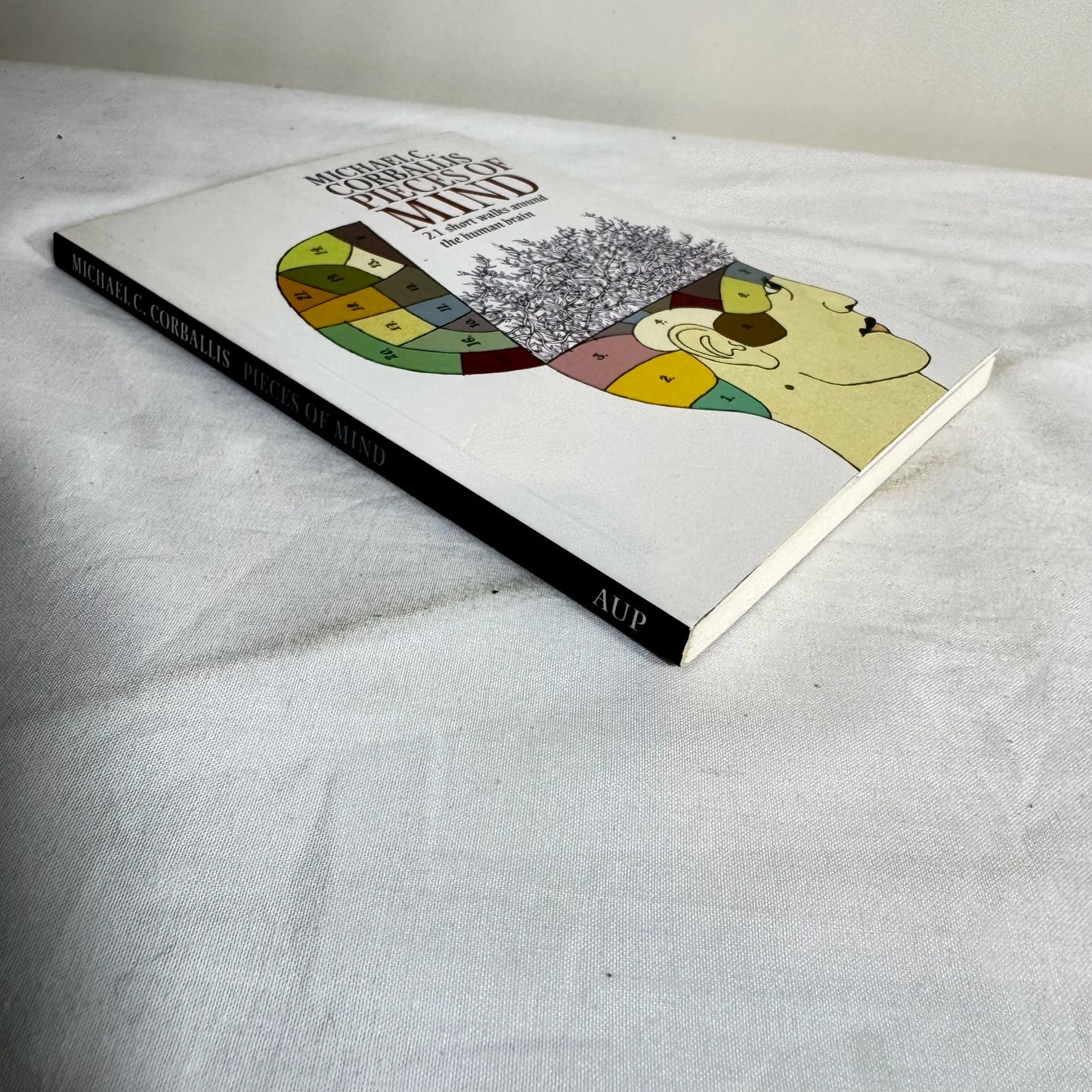 Pieces of Mind - Michael C. Corballis