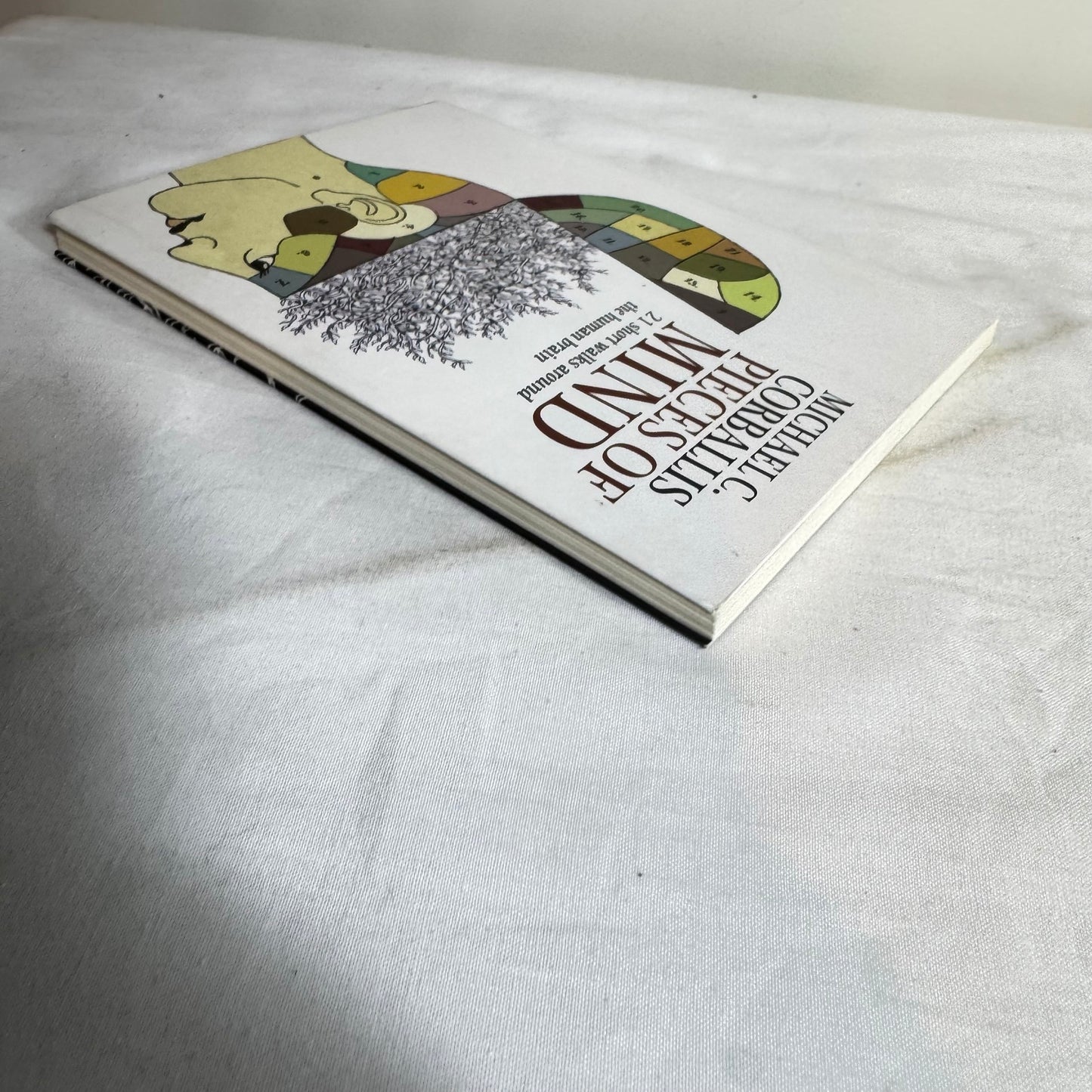 Pieces of Mind - Michael C. Corballis