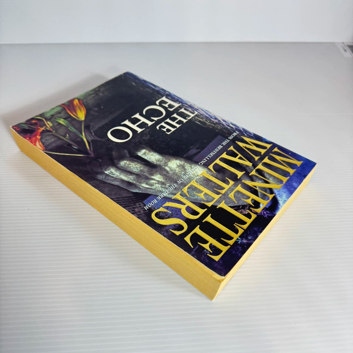 The Echo - Minette Walters