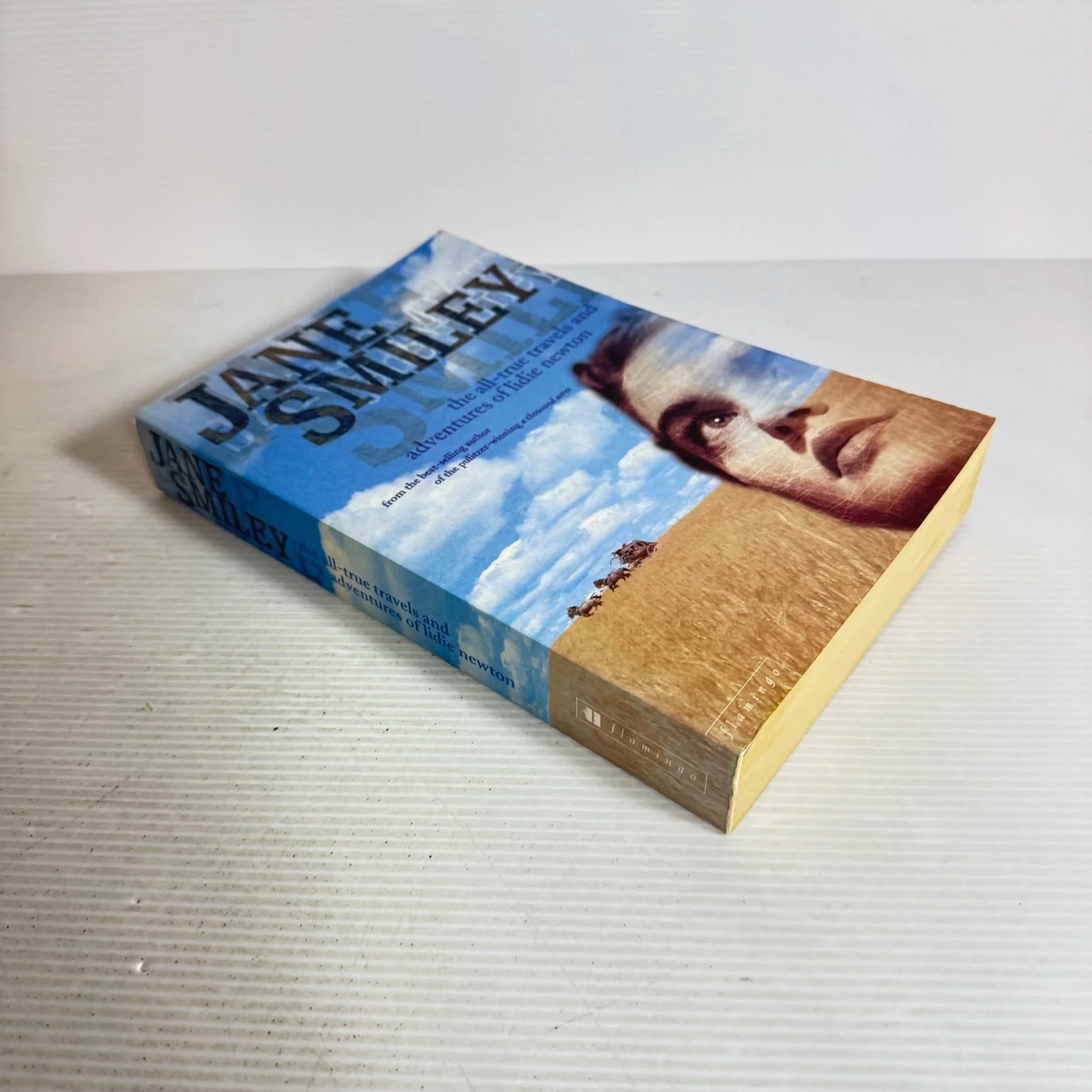 The All -True Travels And Adventures Of Lidie Newton - Jane Smiley