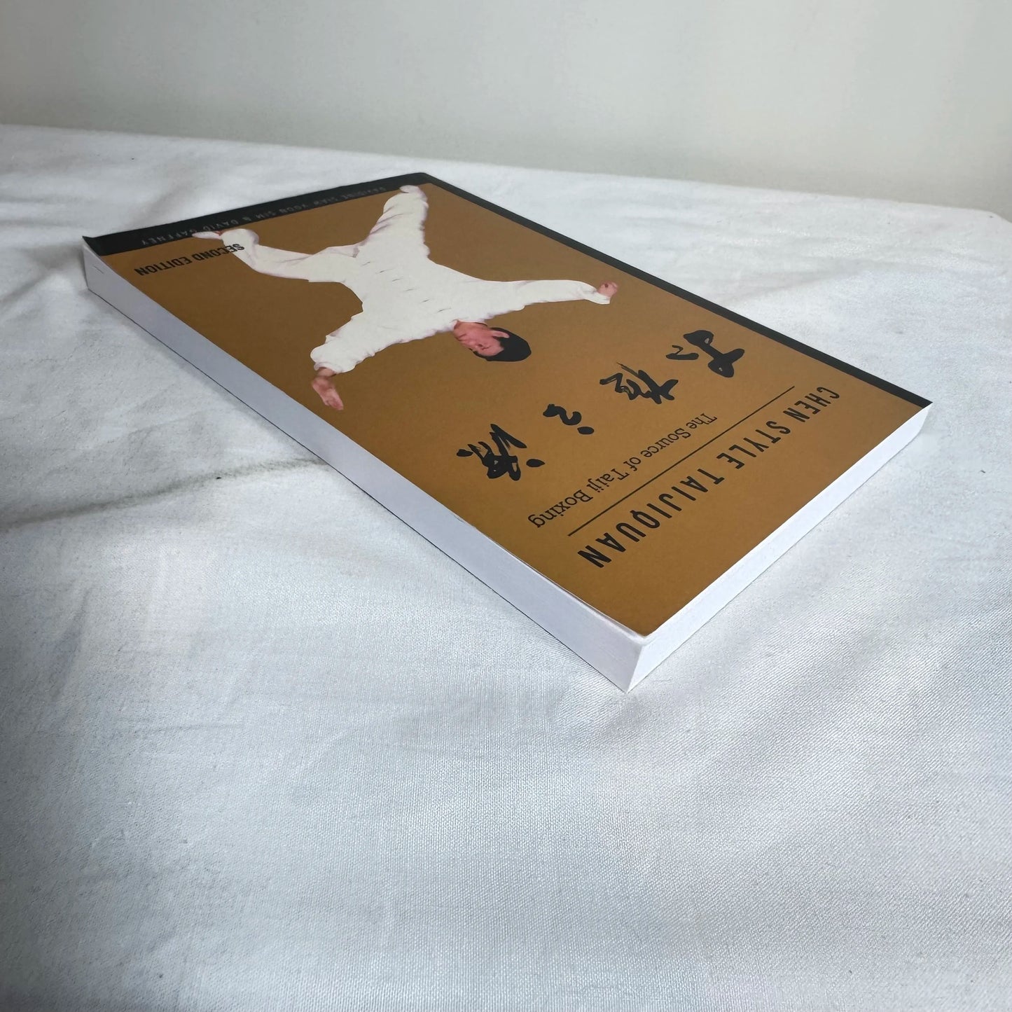 Chen Style Taijiquan : Source of Taeiji Boxing- David Siaw-Voon Sim & David Gaffney