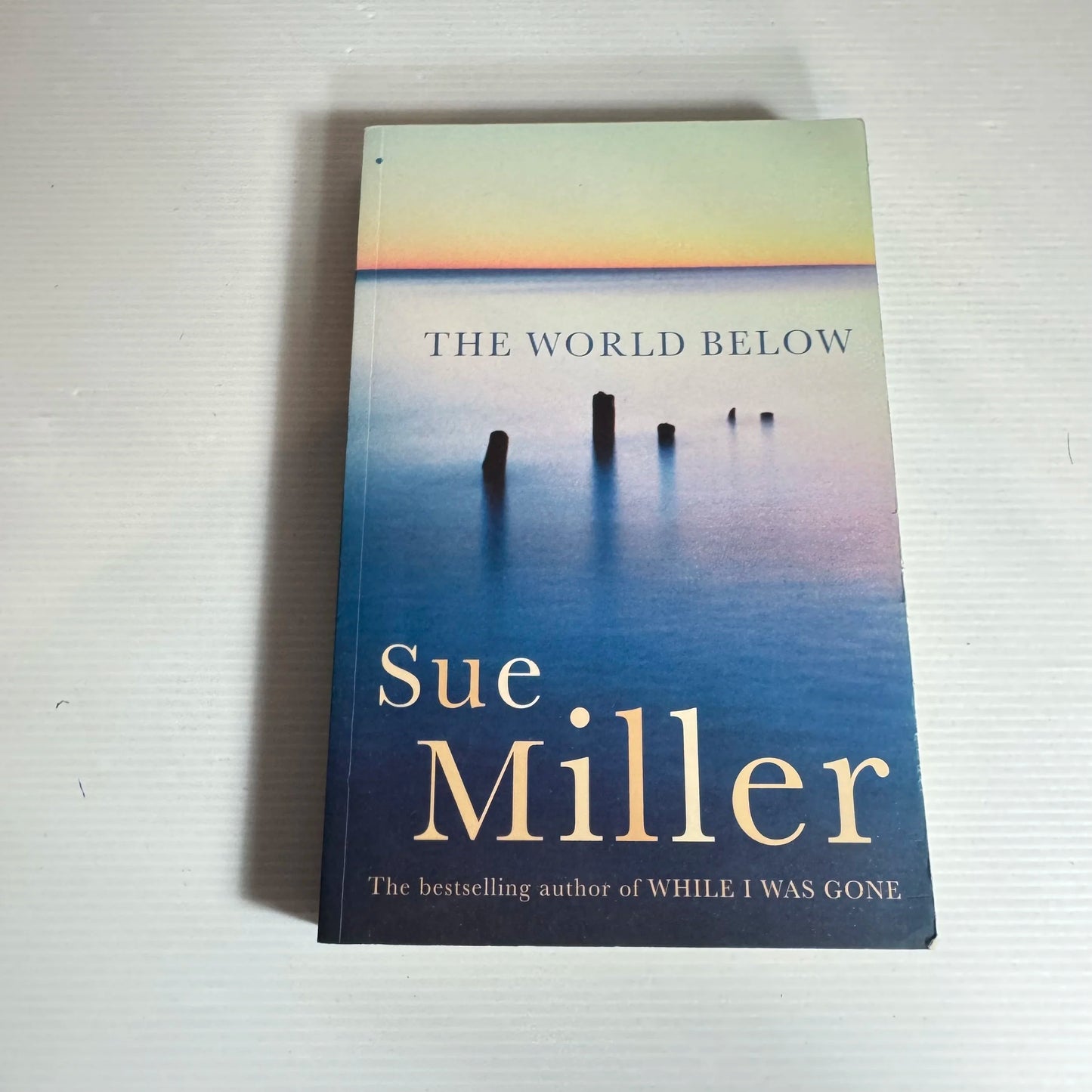 The World Below - Sue Miller