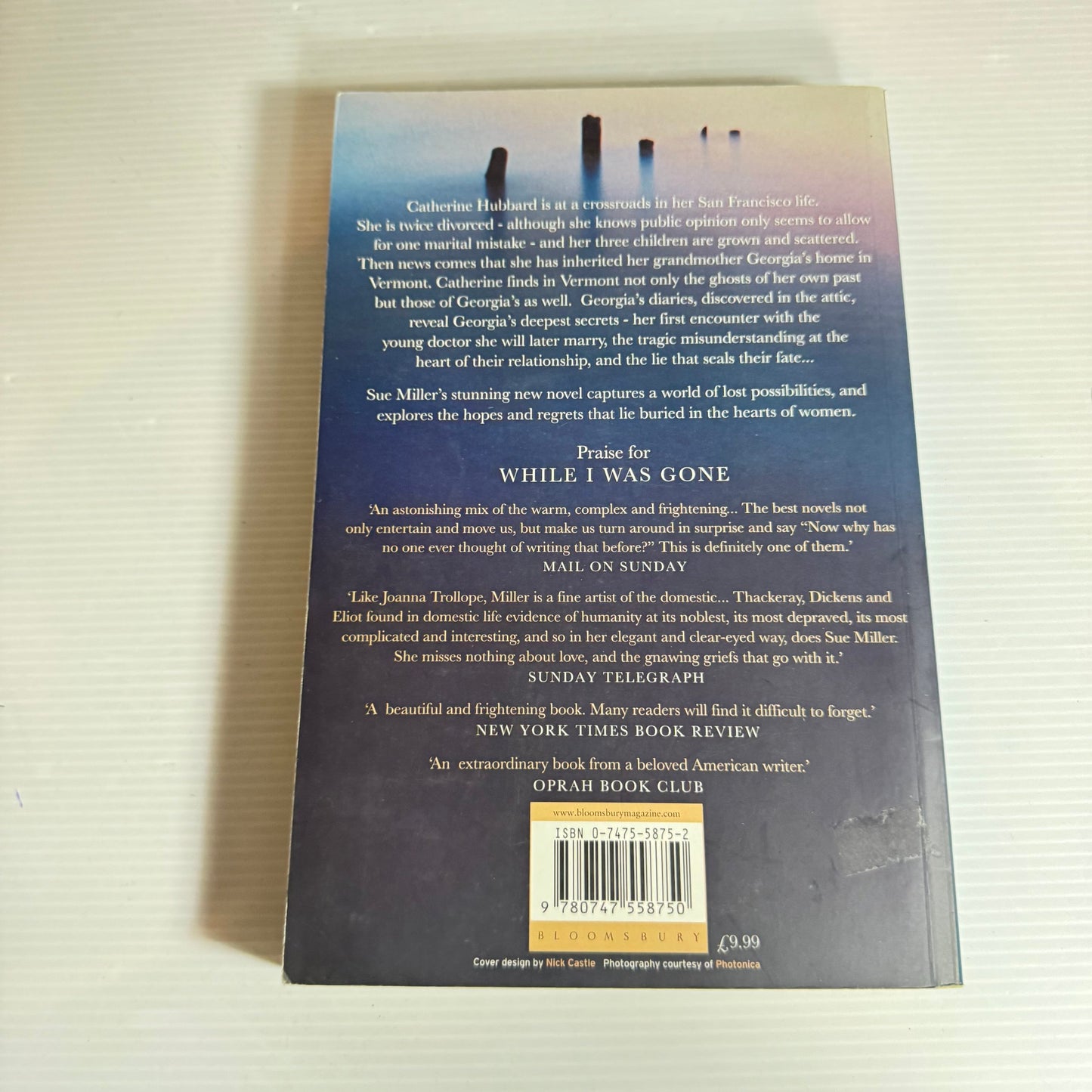 The World Below - Sue Miller