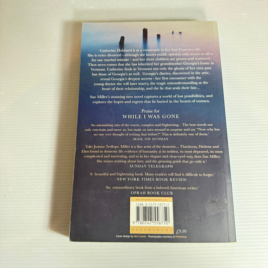 The World Below - Sue Miller