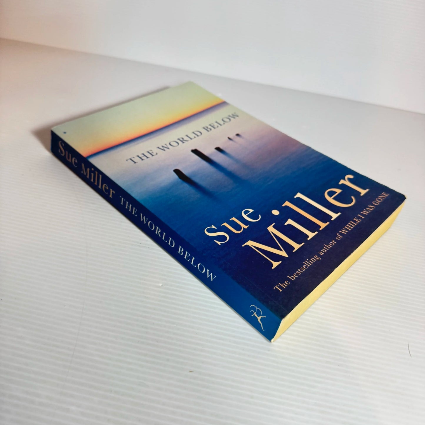 The World Below - Sue Miller