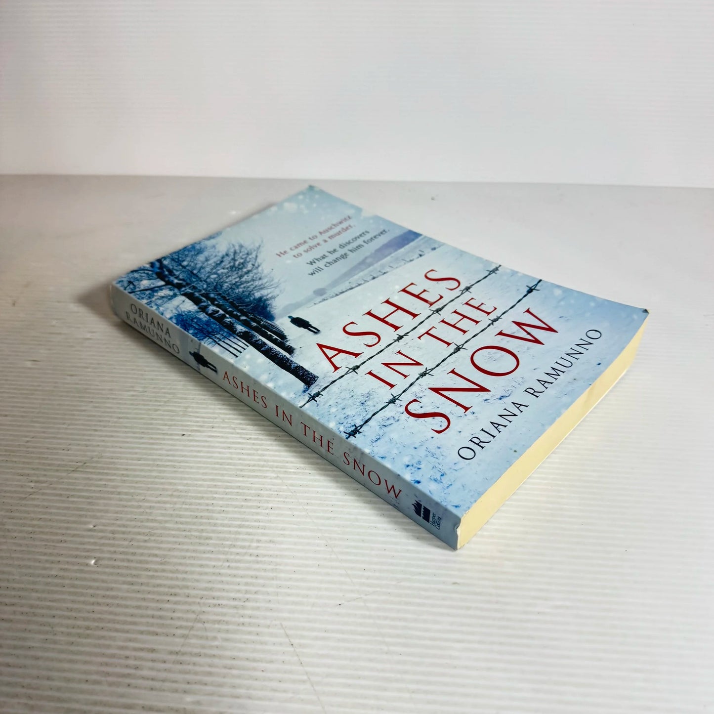 Ashes In The Snow - Oriana Ramunno