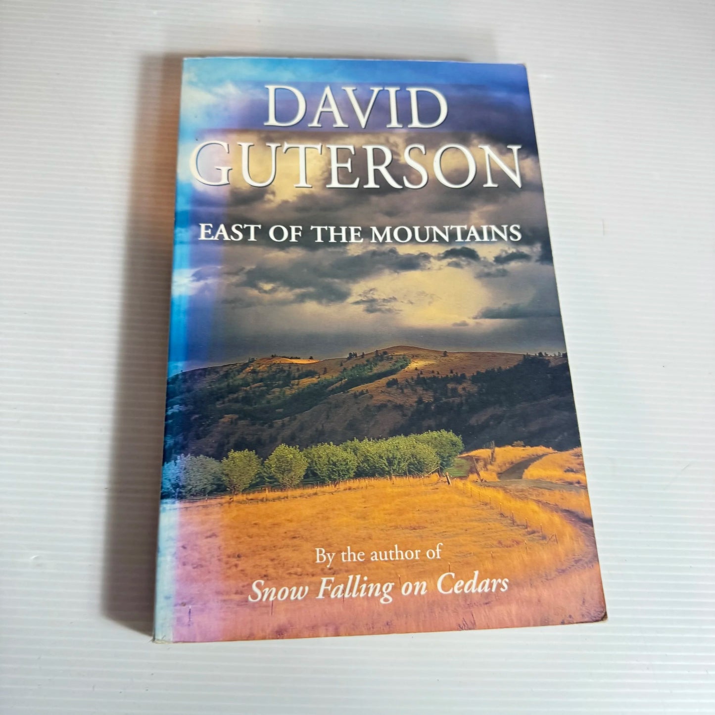 East of the Mountains - David Guterson