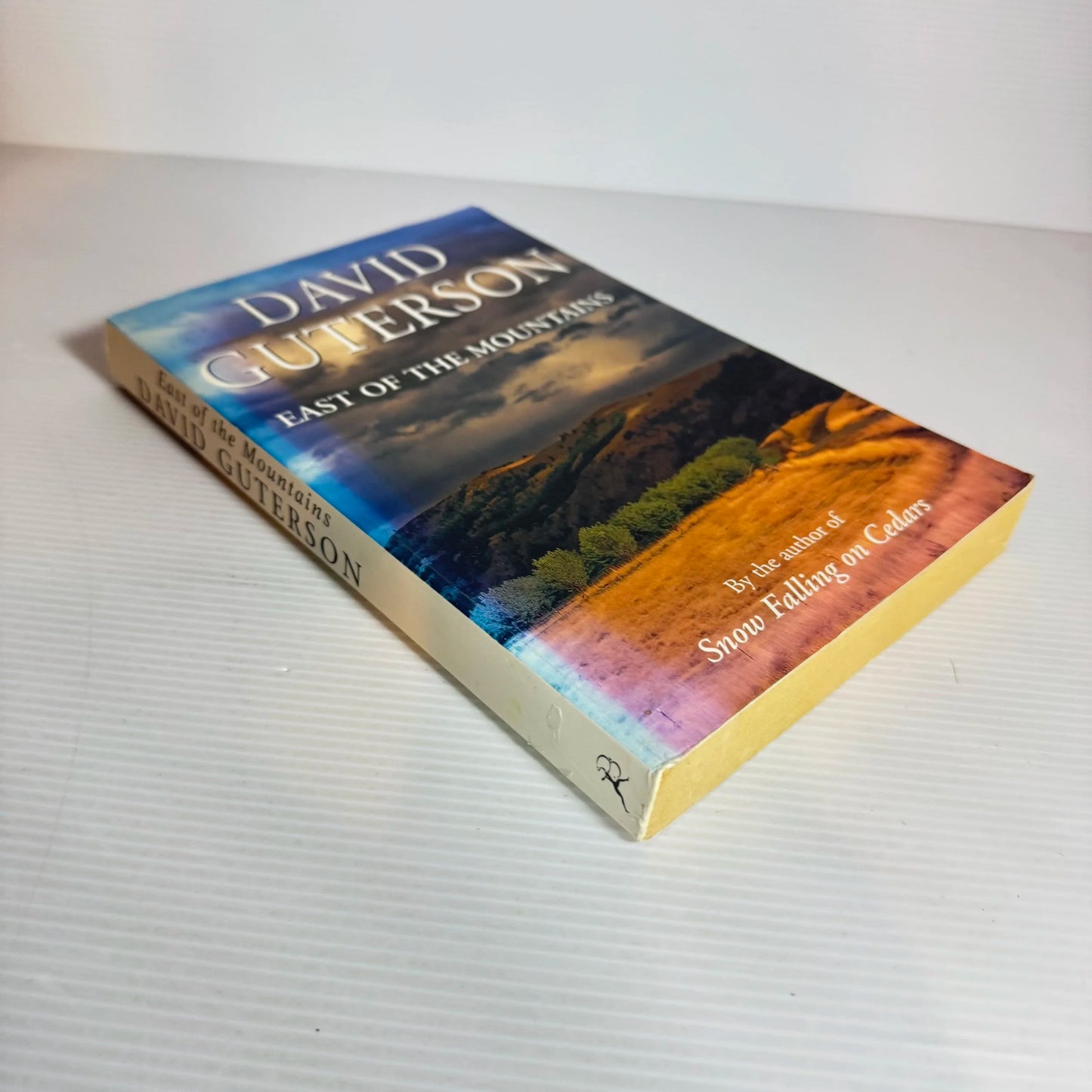 East of the Mountains - David Guterson