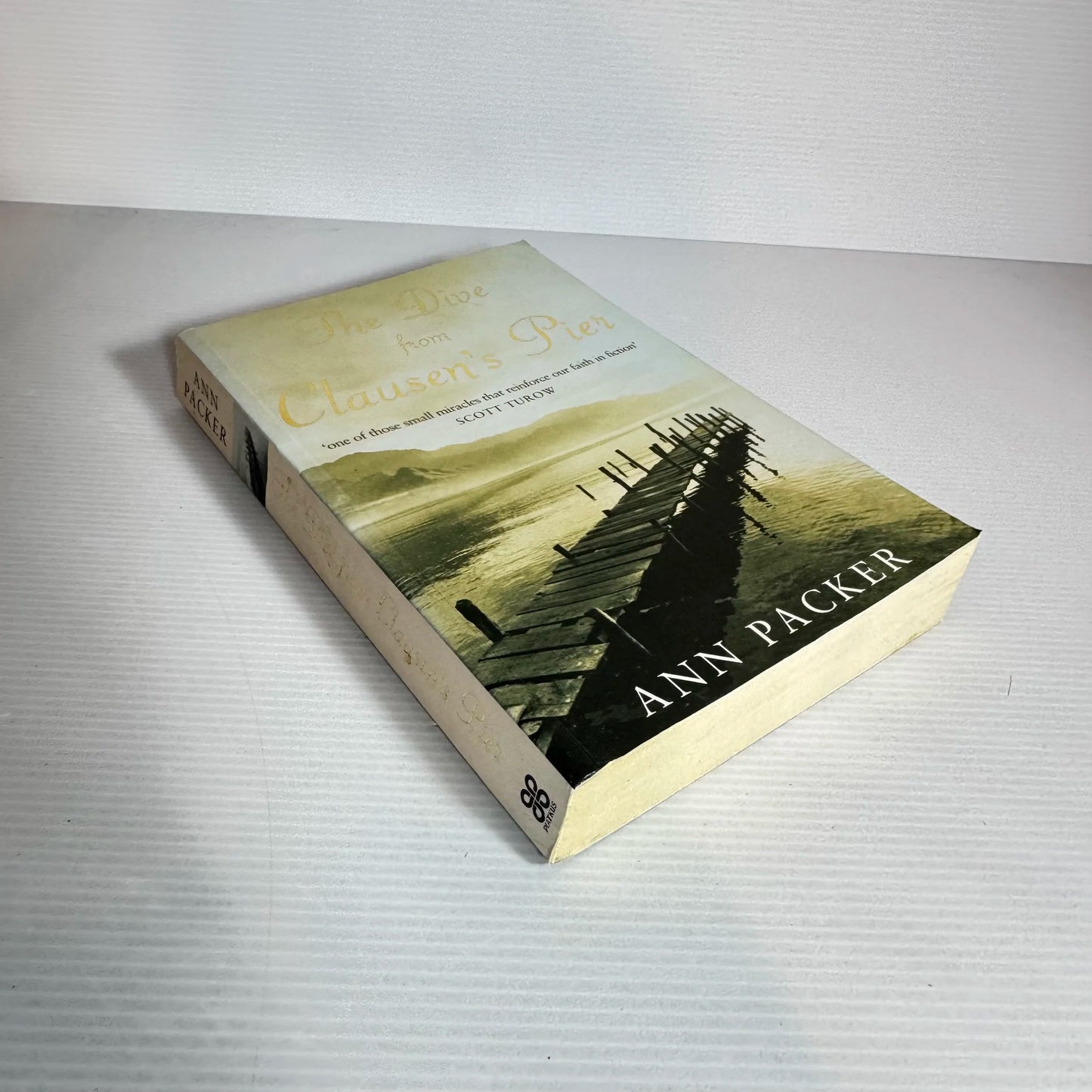 The Dive from Clausen's Pier - Ann Packer