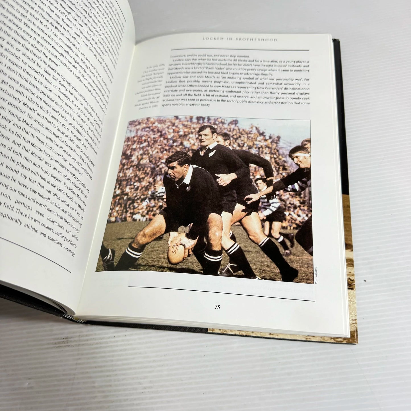 Meads - Brain Turner