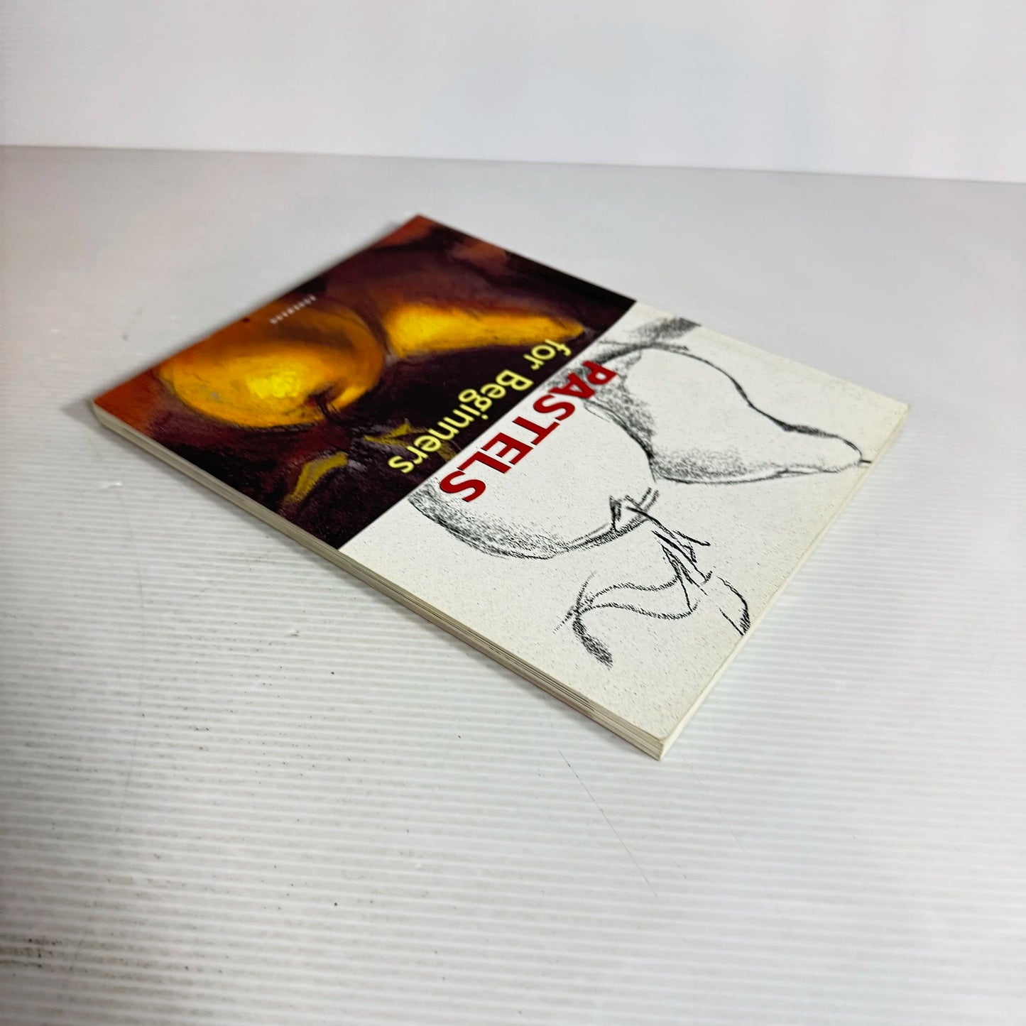 Pastels For Beginners - Konemann