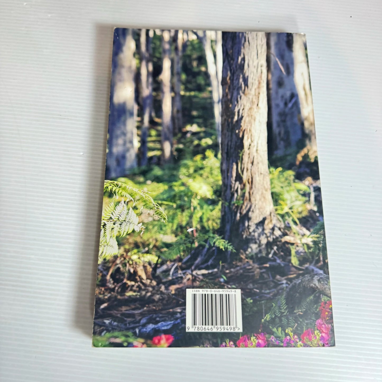 Like A Queen - Constance Hall