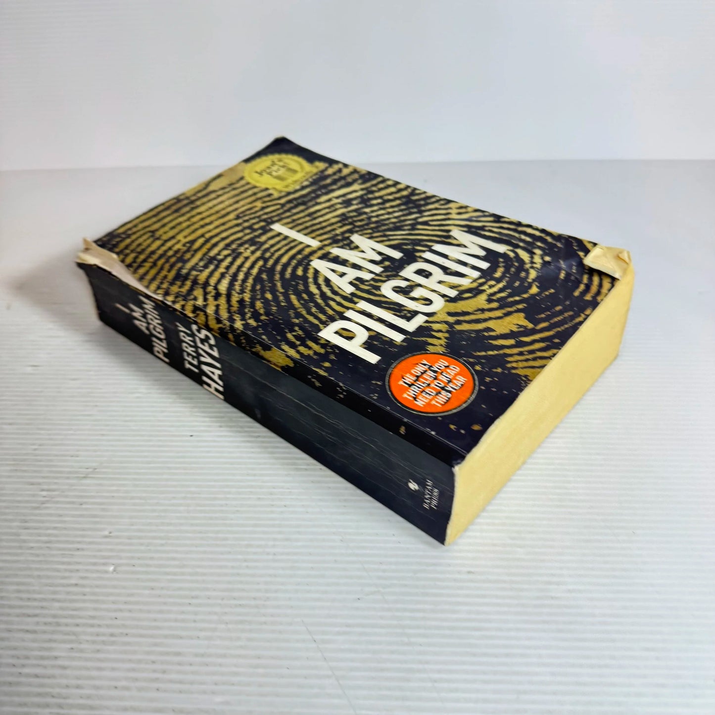 I Am Pilgrim - Terry Hayes