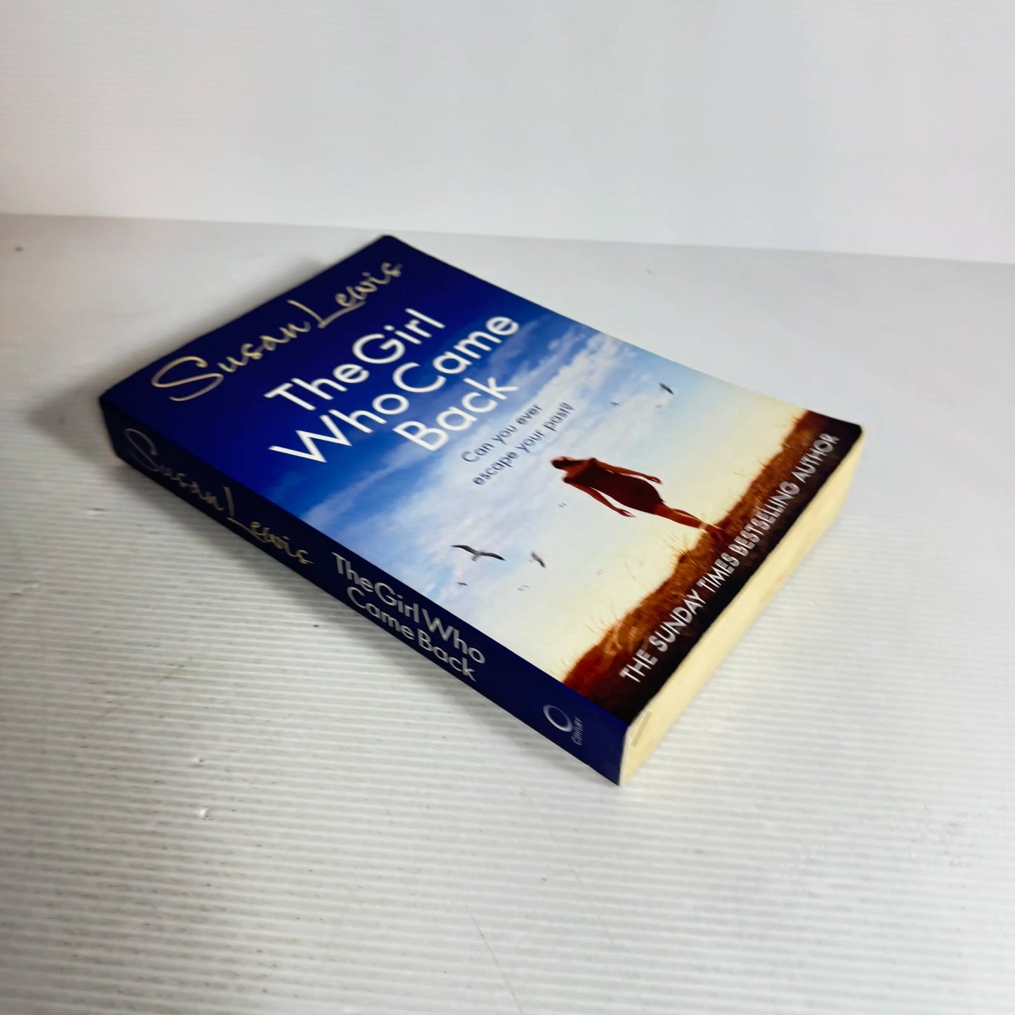 The Girl Who Came Back - Susan Lewis