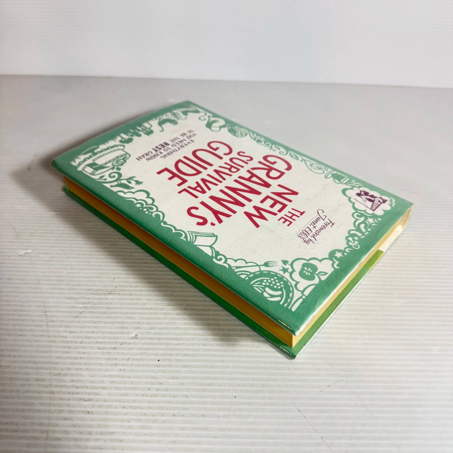 The New Granny's Survival Guide : Everything You Need To Know To Be the Best Gran - Forward by Janet Ellis