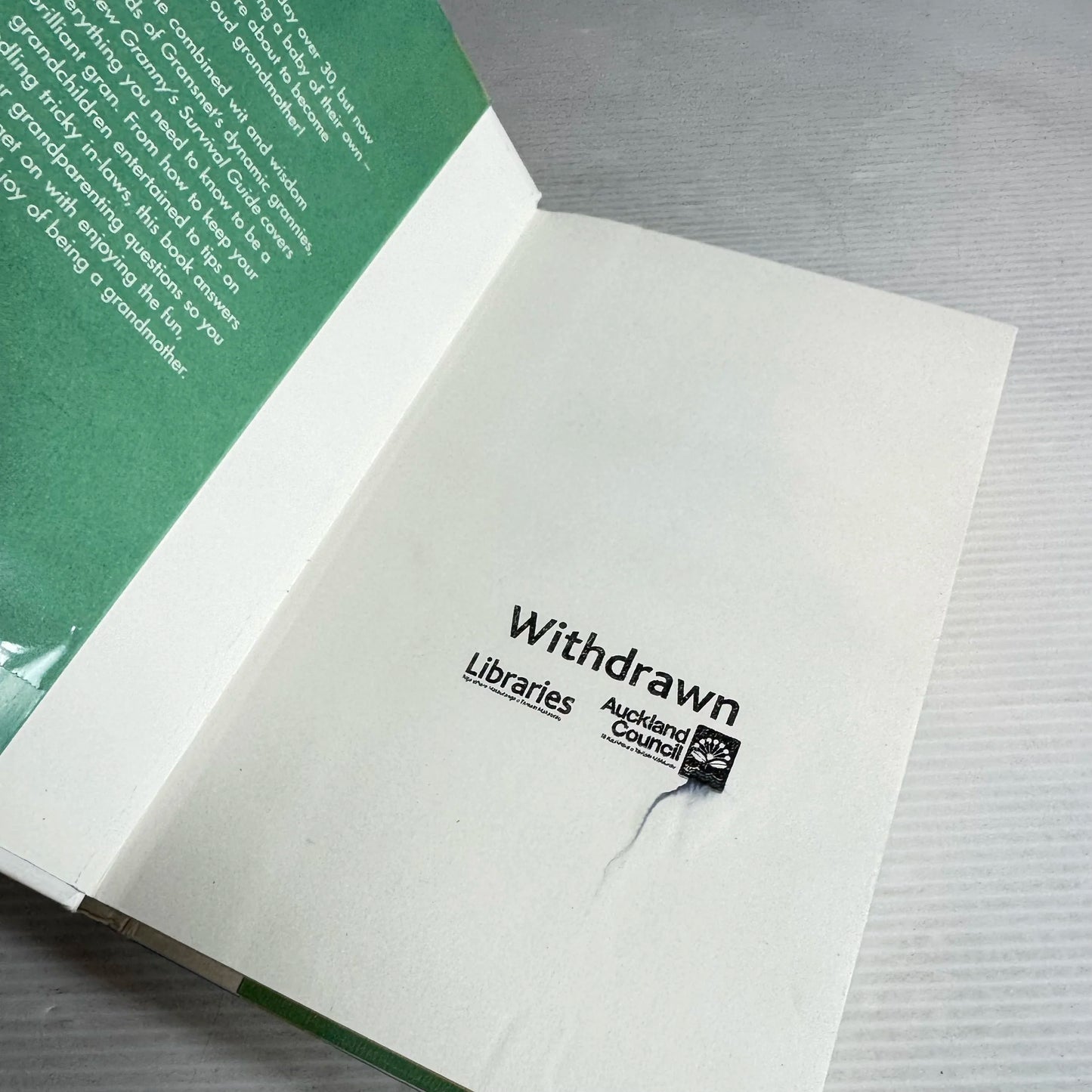 The New Granny's Survival Guide : Everything You Need To Know To Be the Best Gran - Forward by Janet Ellis