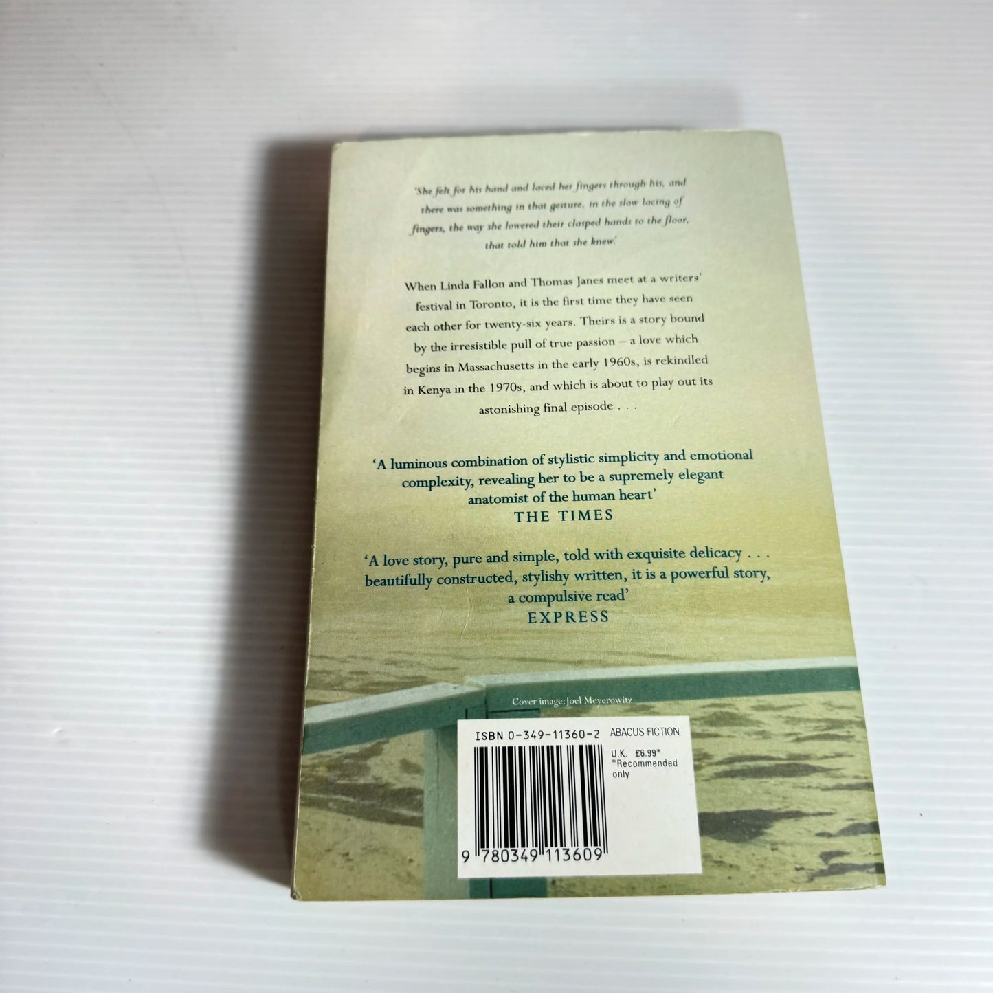 The Last Time They Met - Anita Shreve