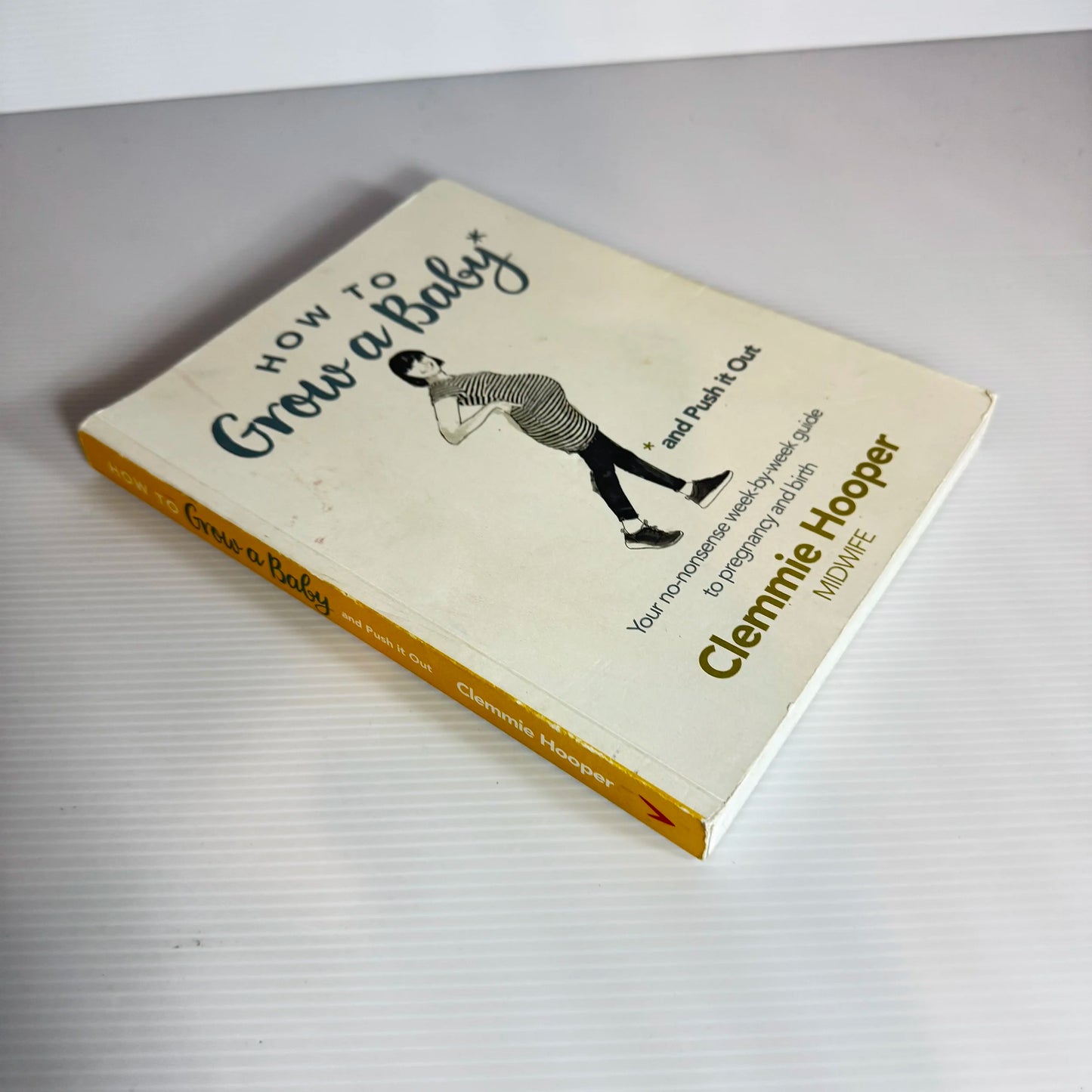 How To Grow A Baby And Push It Out - Clemmie Hooper