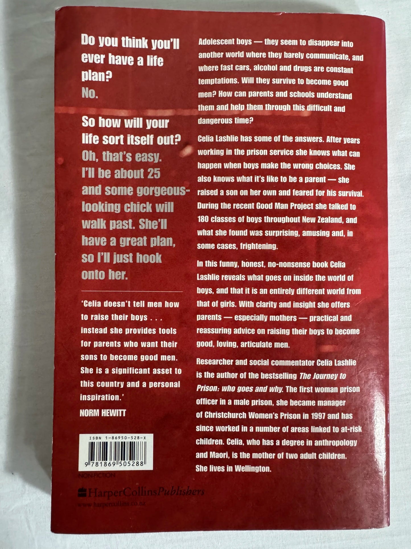 He'll Be Ok : Growing Gorgeous Boys Into Good Men - Celia Lashlie