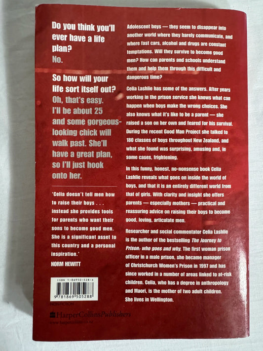 He'll Be Ok : Growing Gorgeous Boys Into Good Men - Celia Lashlie