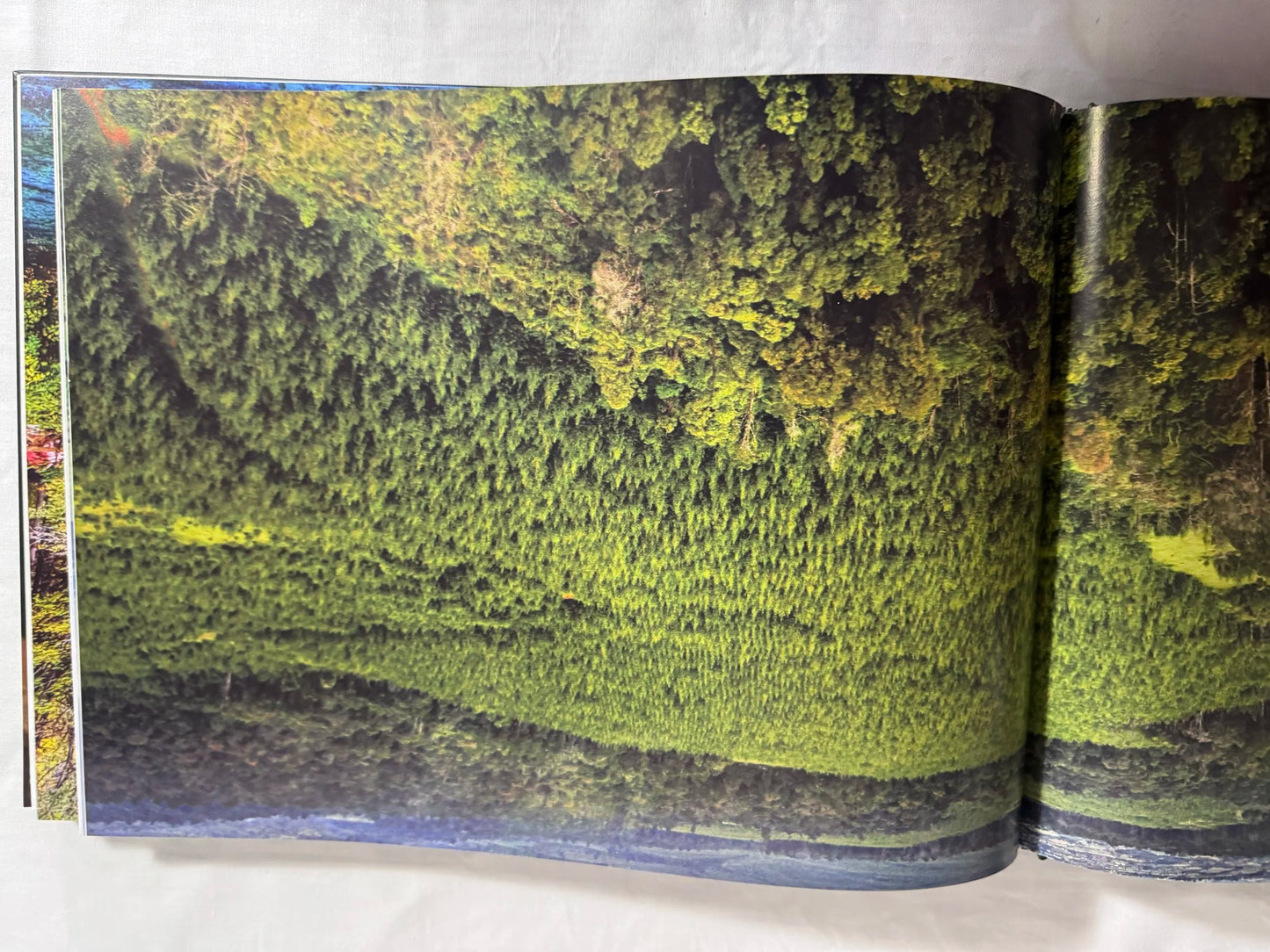 Forests : Wonders of Our Plant - Kieron Connolly