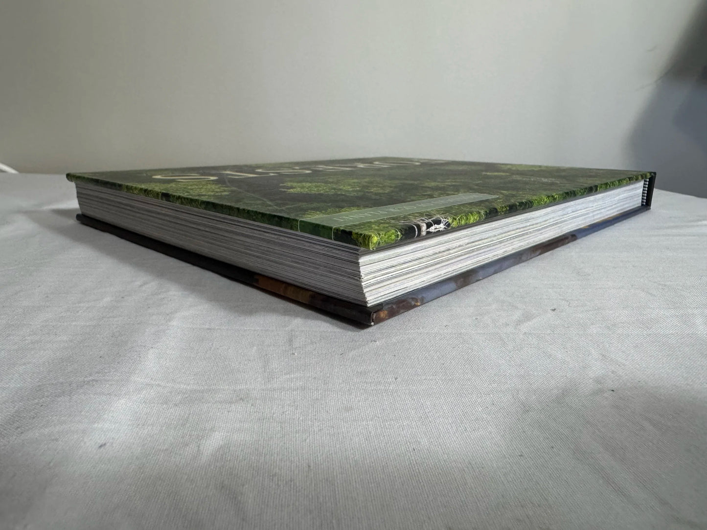 Forests : Wonders of Our Plant - Kieron Connolly