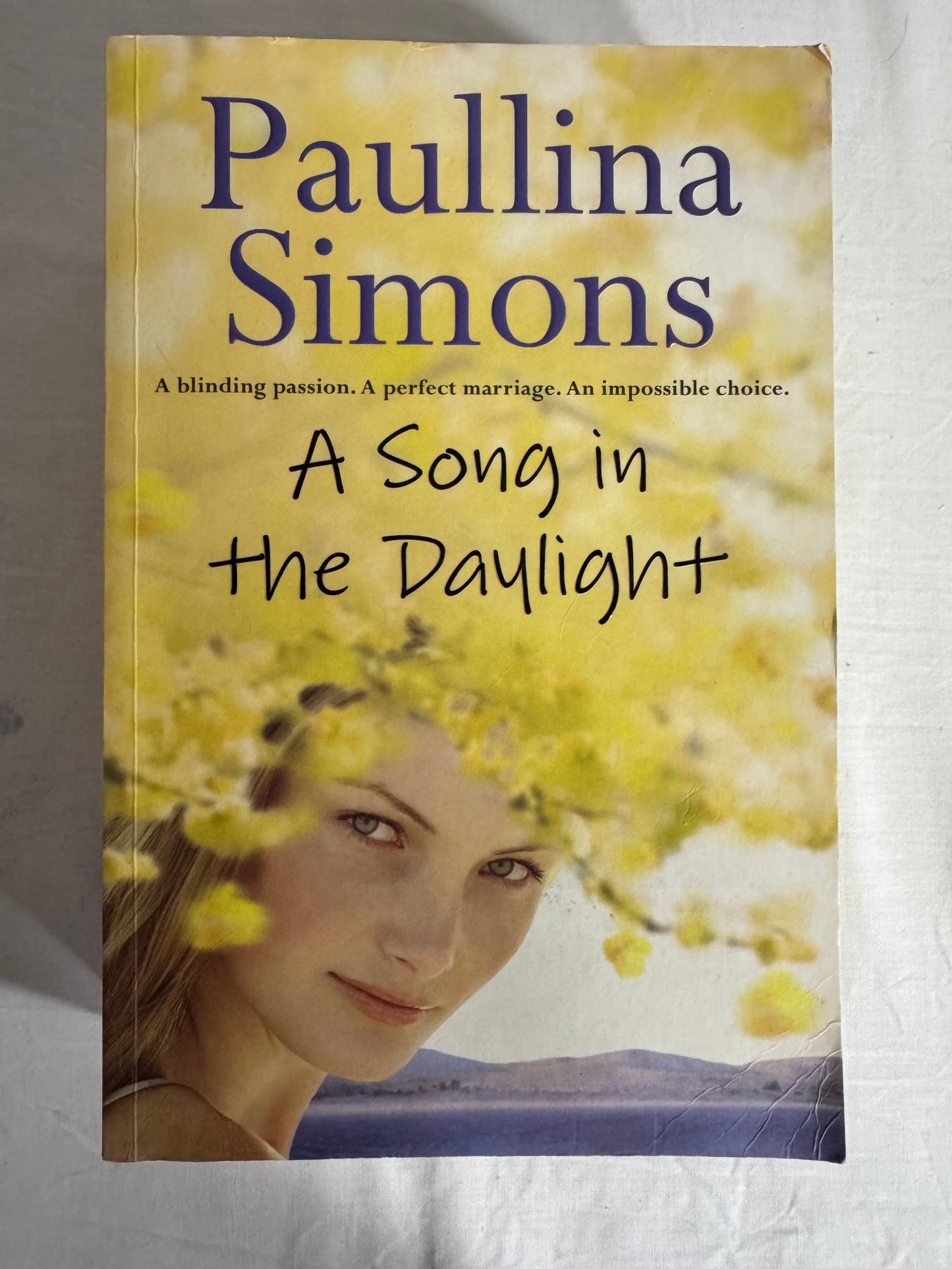 A Song in the Daylight - Paullina Simons