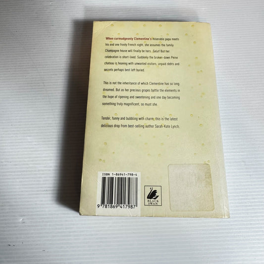 The House of Peine - Sarah-Kate Lynch