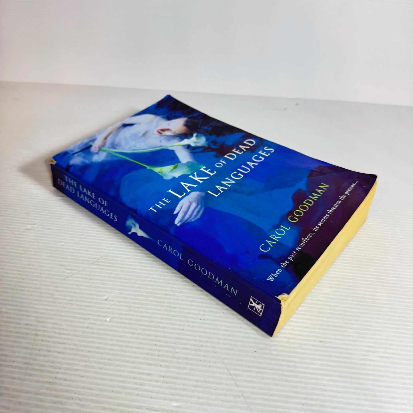 The Lake of Dead Languages - Carol Goodman