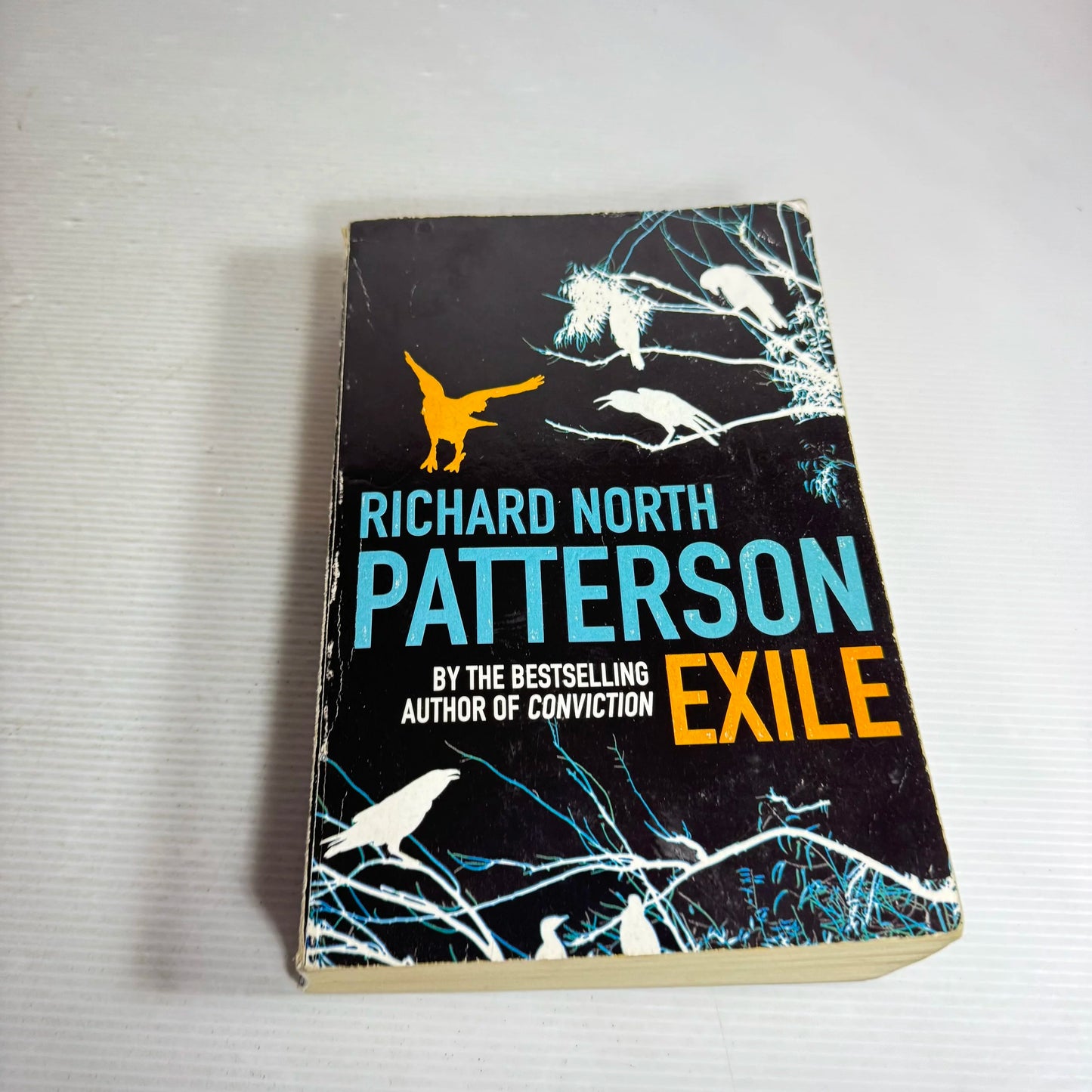 Exile - Richard North Patterson