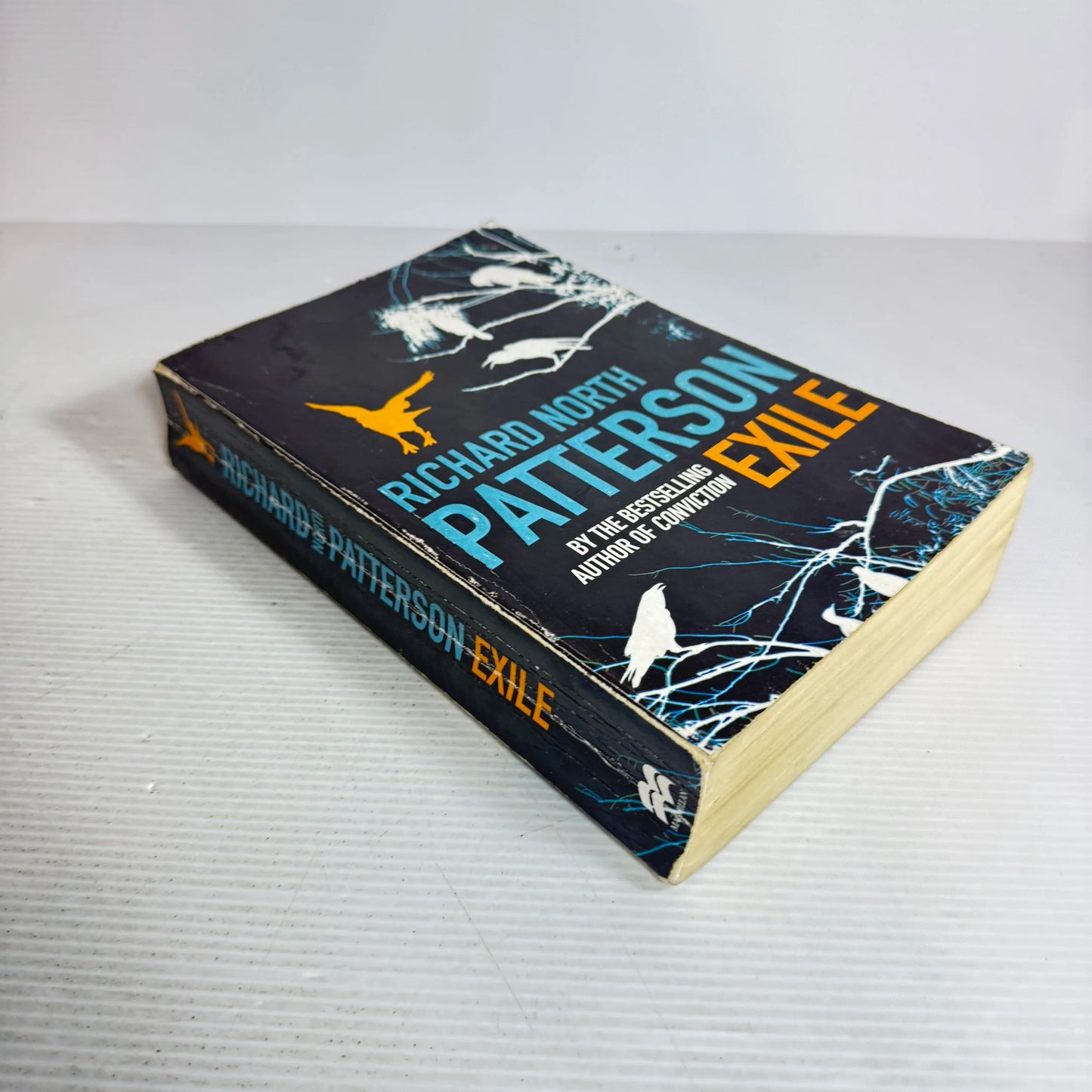 Exile - Richard North Patterson