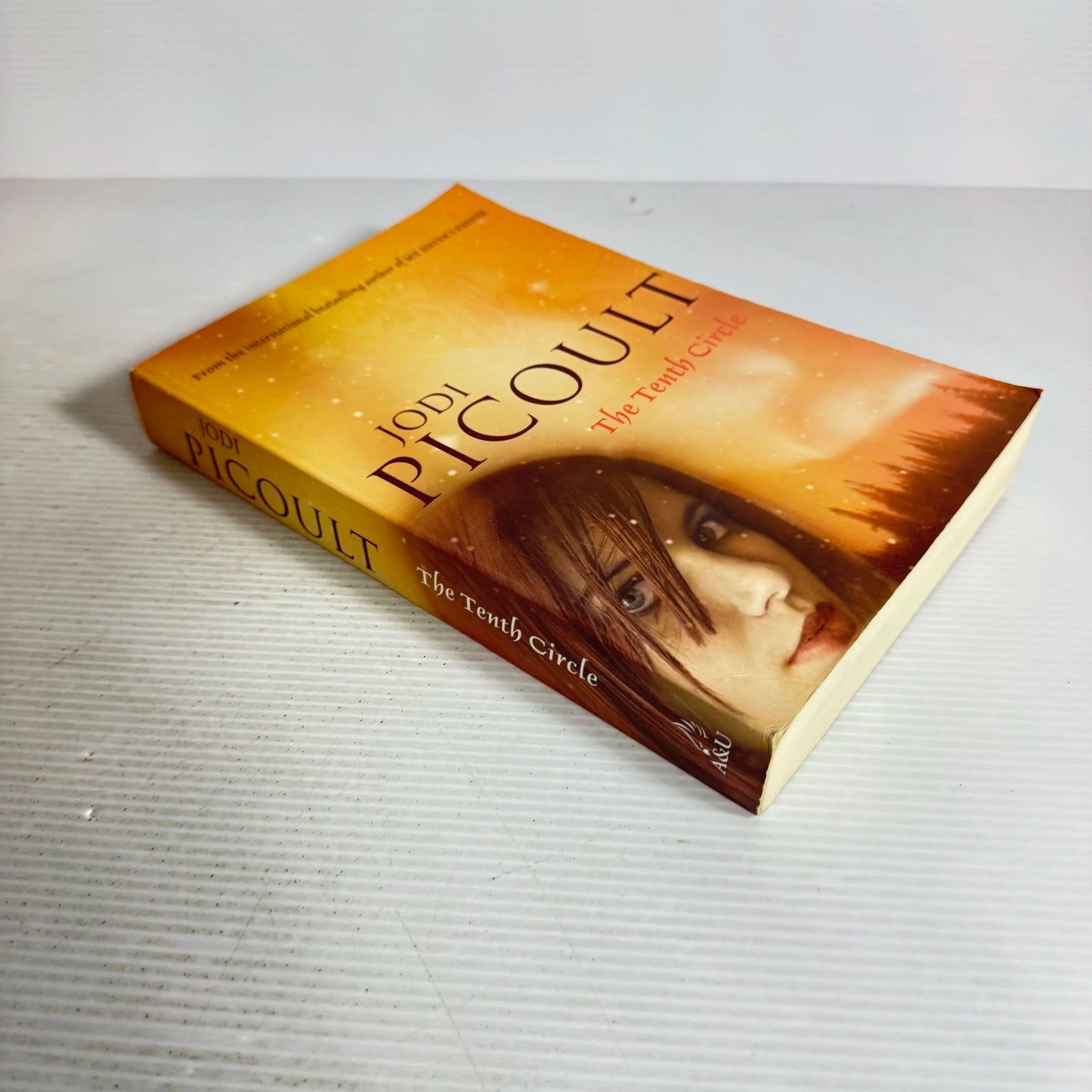 The Tenth Circle - Jodi Picoult
