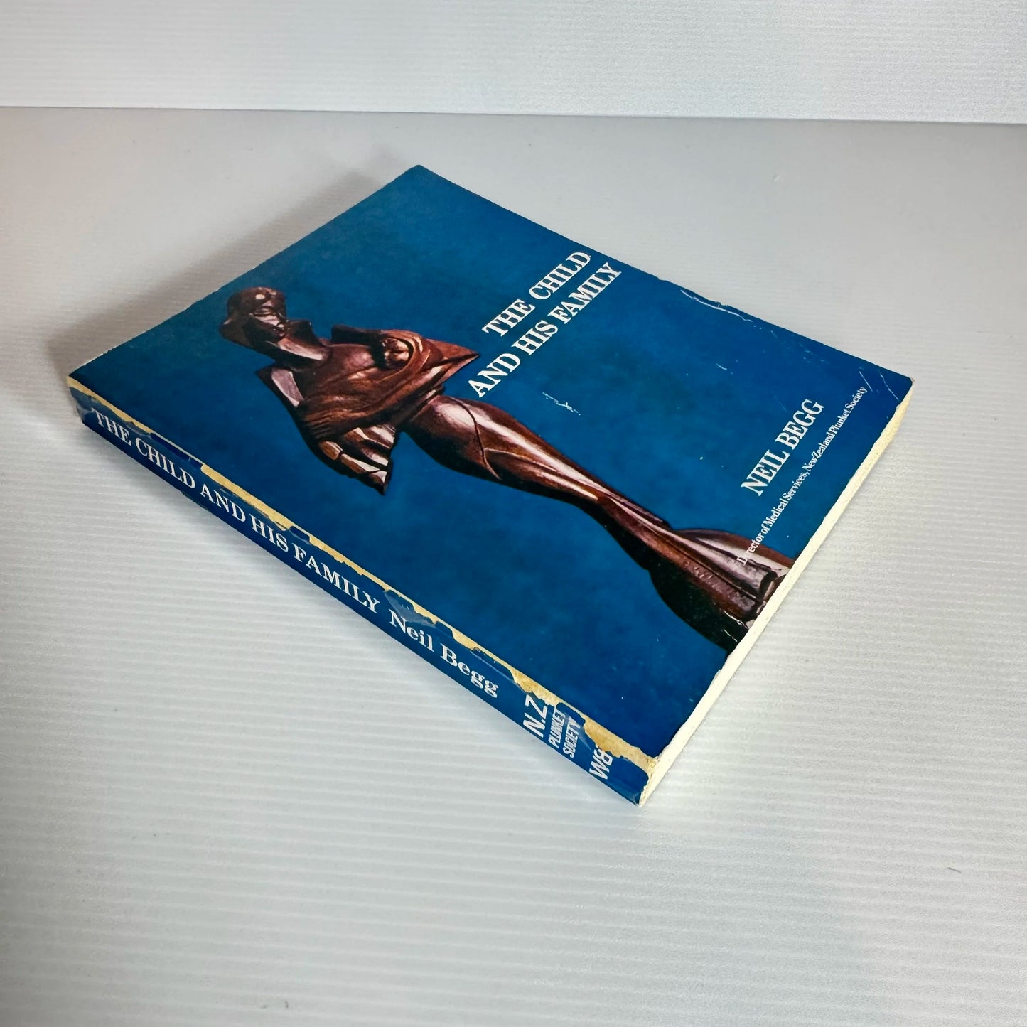 The Child and His Family - Neil Begg (Vintage 2nd Edition 1974)