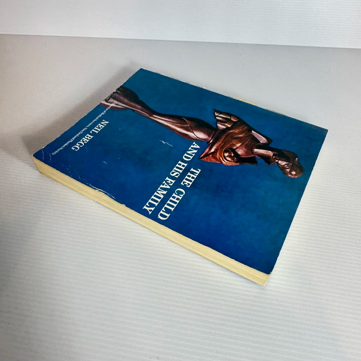 The Child and His Family - Neil Begg (Vintage 2nd Edition 1974)
