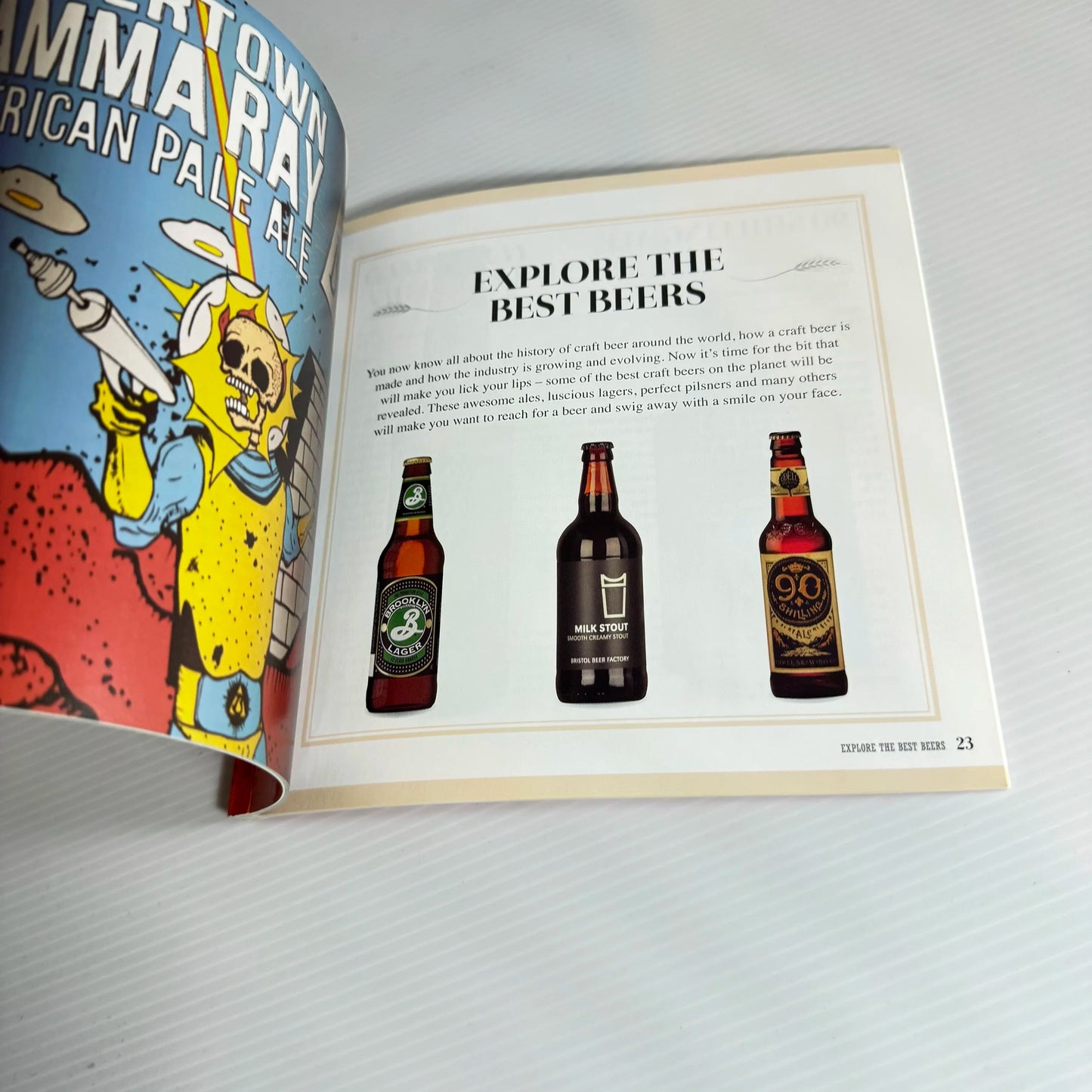 Craft Beer : Lear About Everything From Ale and Stout to Lager and IPA
