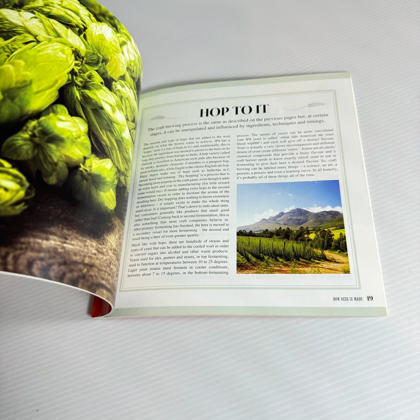 Craft Beer : Lear About Everything From Ale and Stout to Lager and IPA