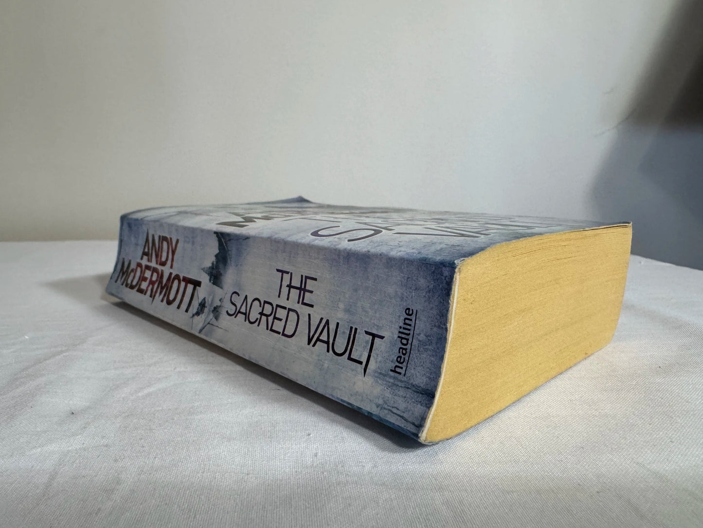 The Scared Vault - Andy McDermott