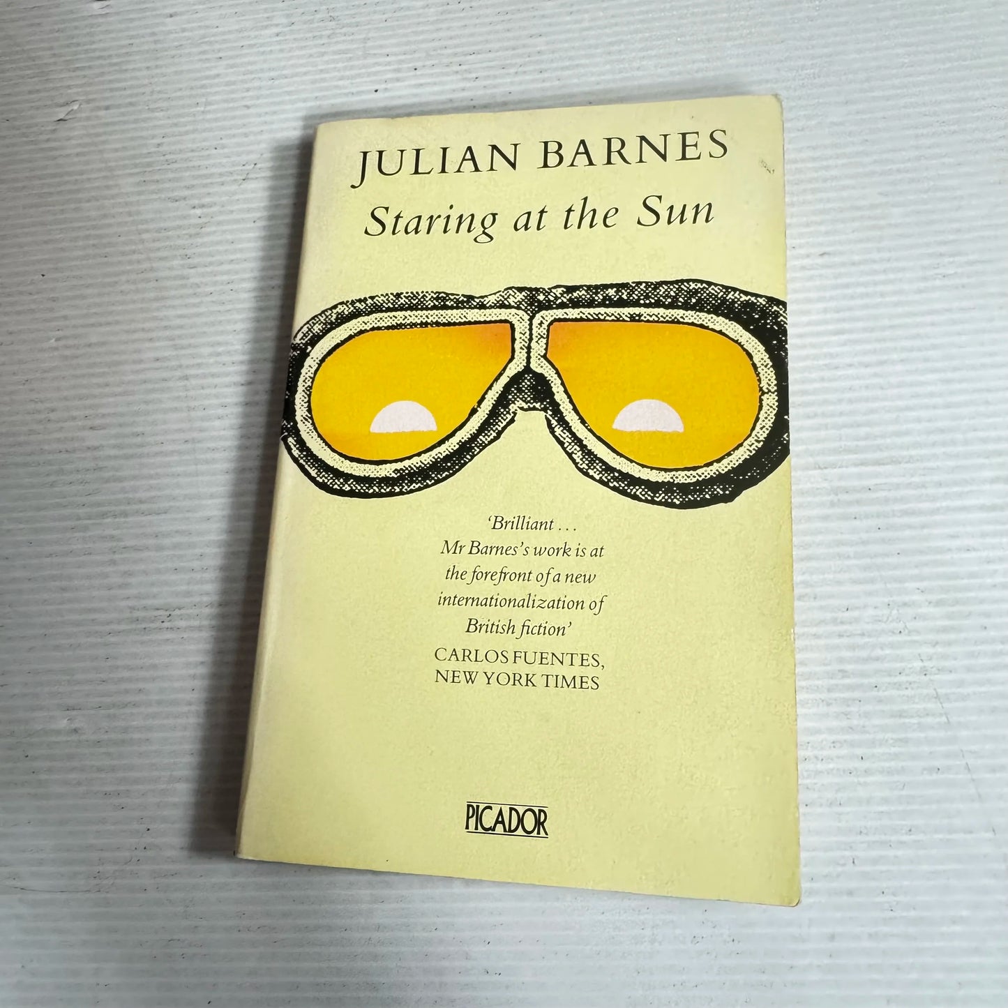 Staring At The Sun - Julian Barnes
