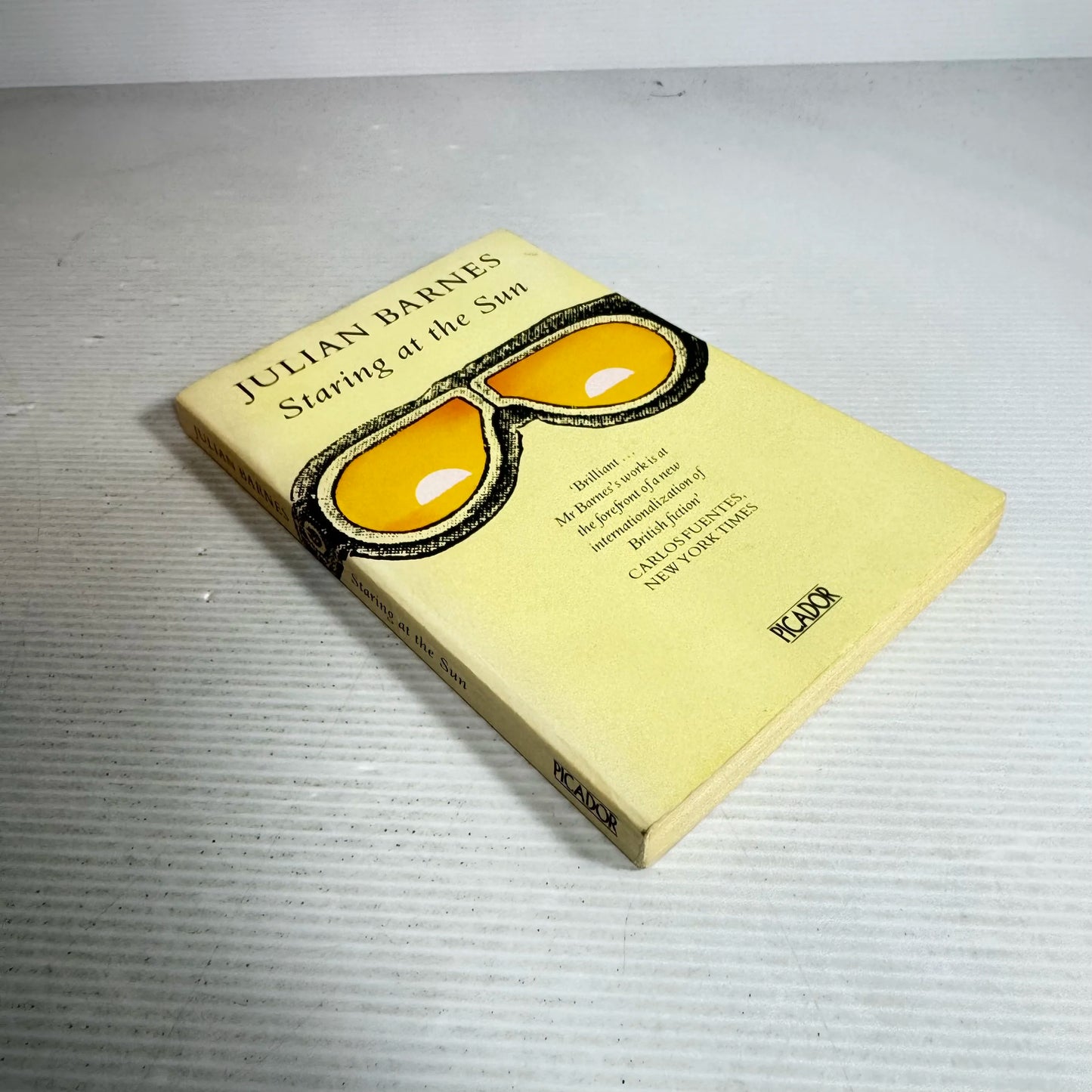 Staring At The Sun - Julian Barnes