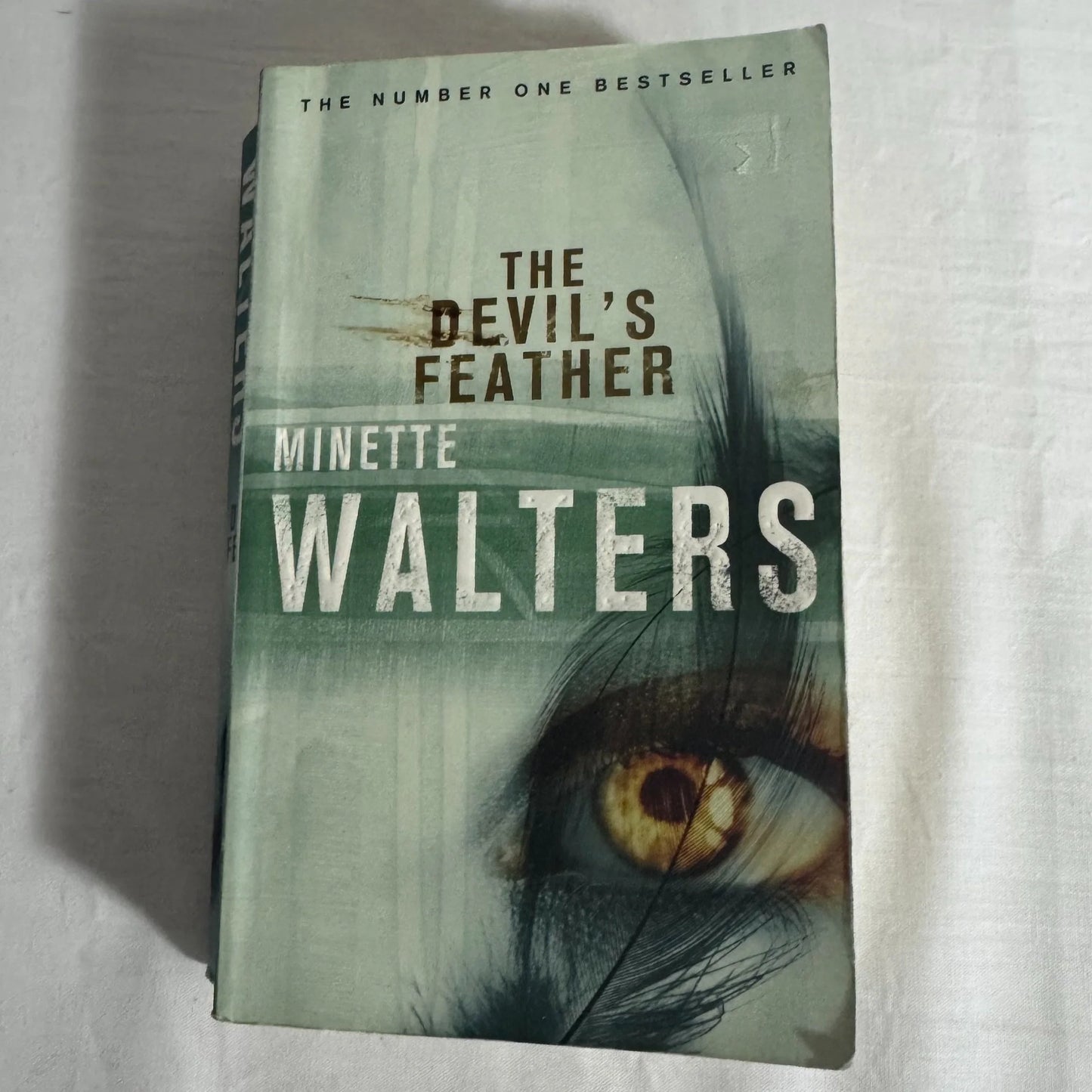 The Devil's Feather - Minette Walters
