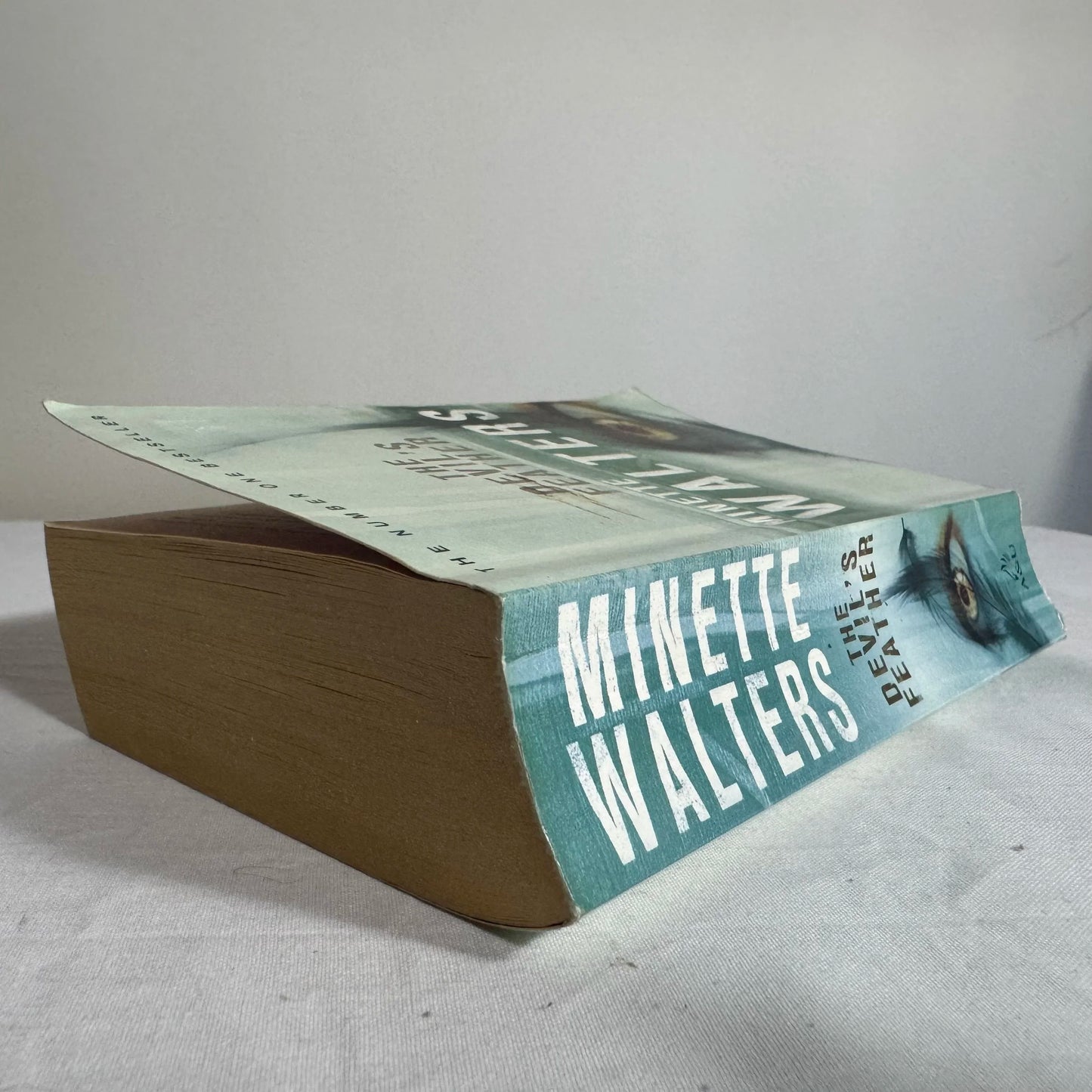 The Devil's Feather - Minette Walters