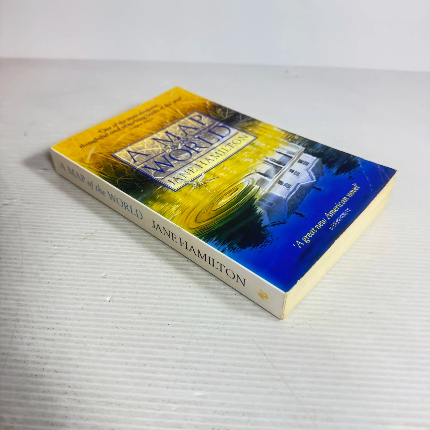 A Map of the World - Jane Hamilton