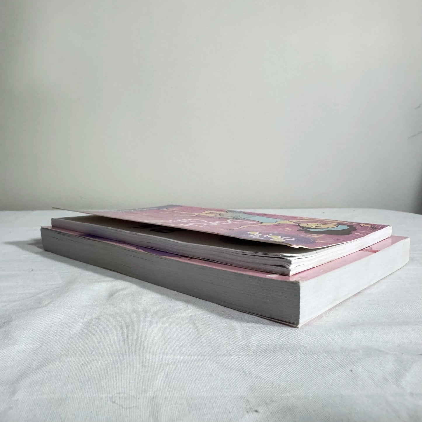 Children's Chapter Book Bundle x 2 Books