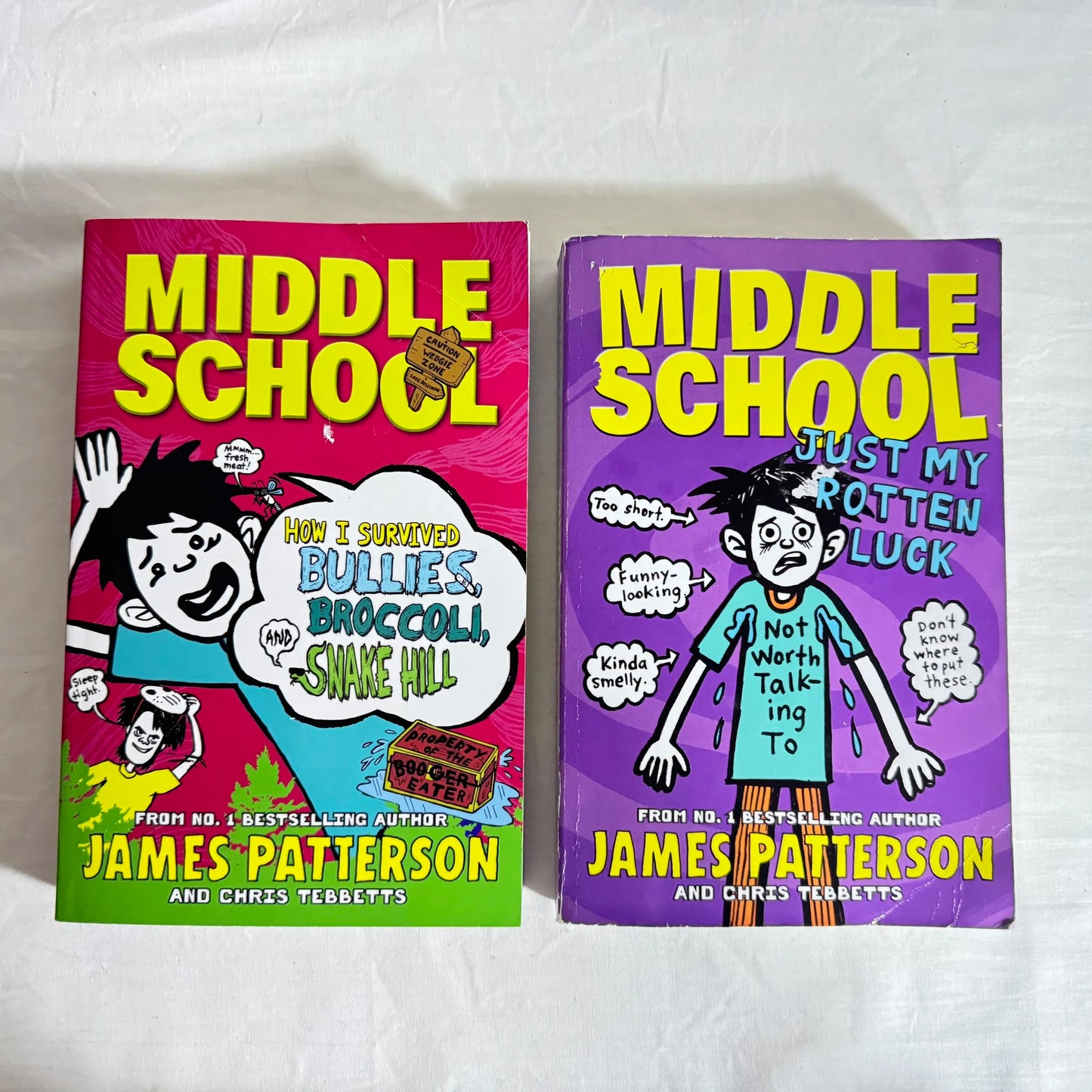 Children's Graphic Novel Chapter Books -  2 x Middle School
