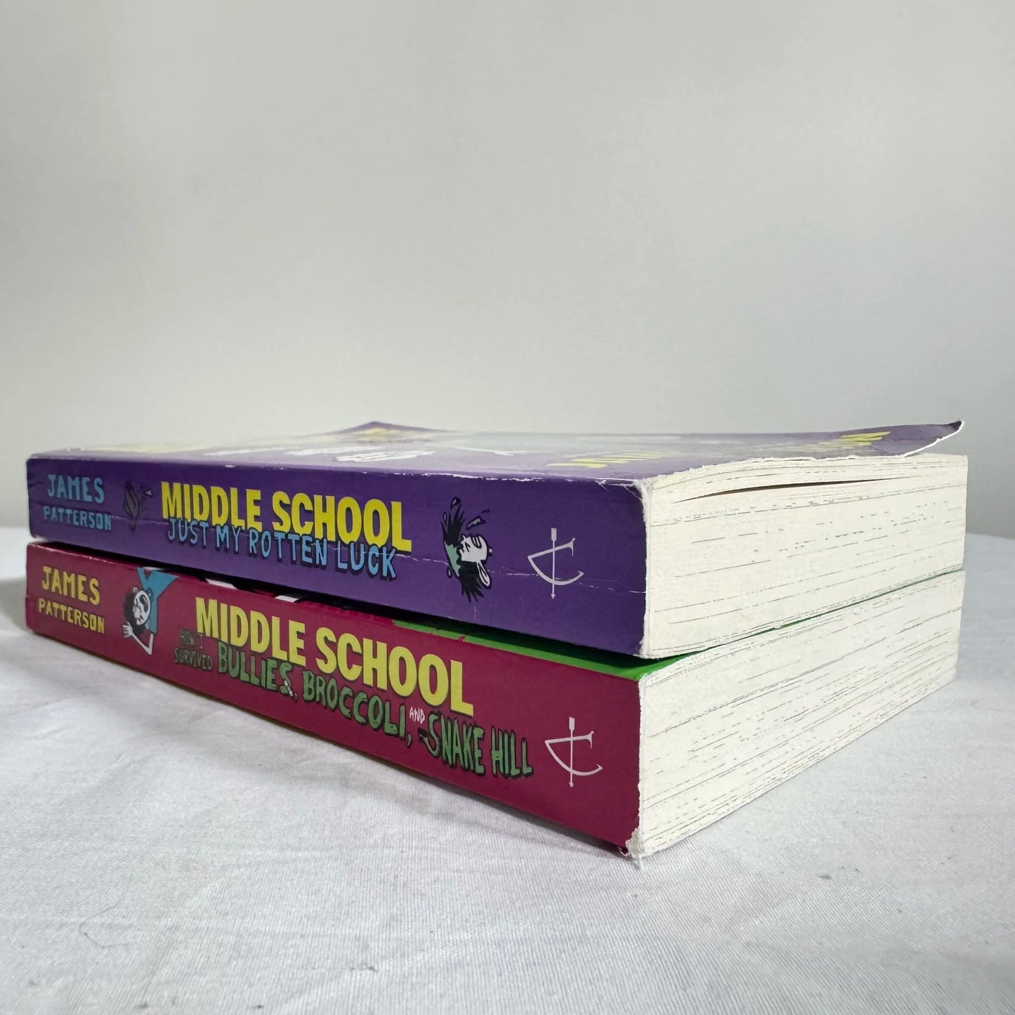 Children's Graphic Novel Chapter Books -  2 x Middle School