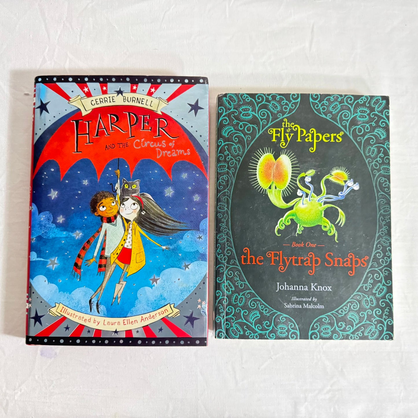 Children's Chapter Book Bundle x 2 Books