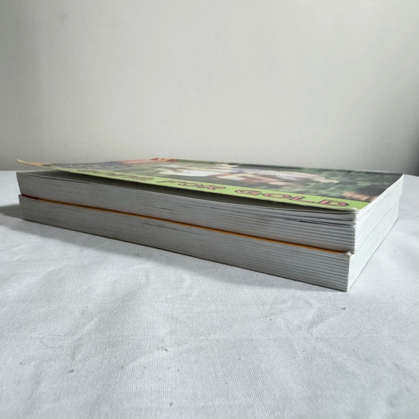 Children's Chapter Book Bundle x 2 Sport Max