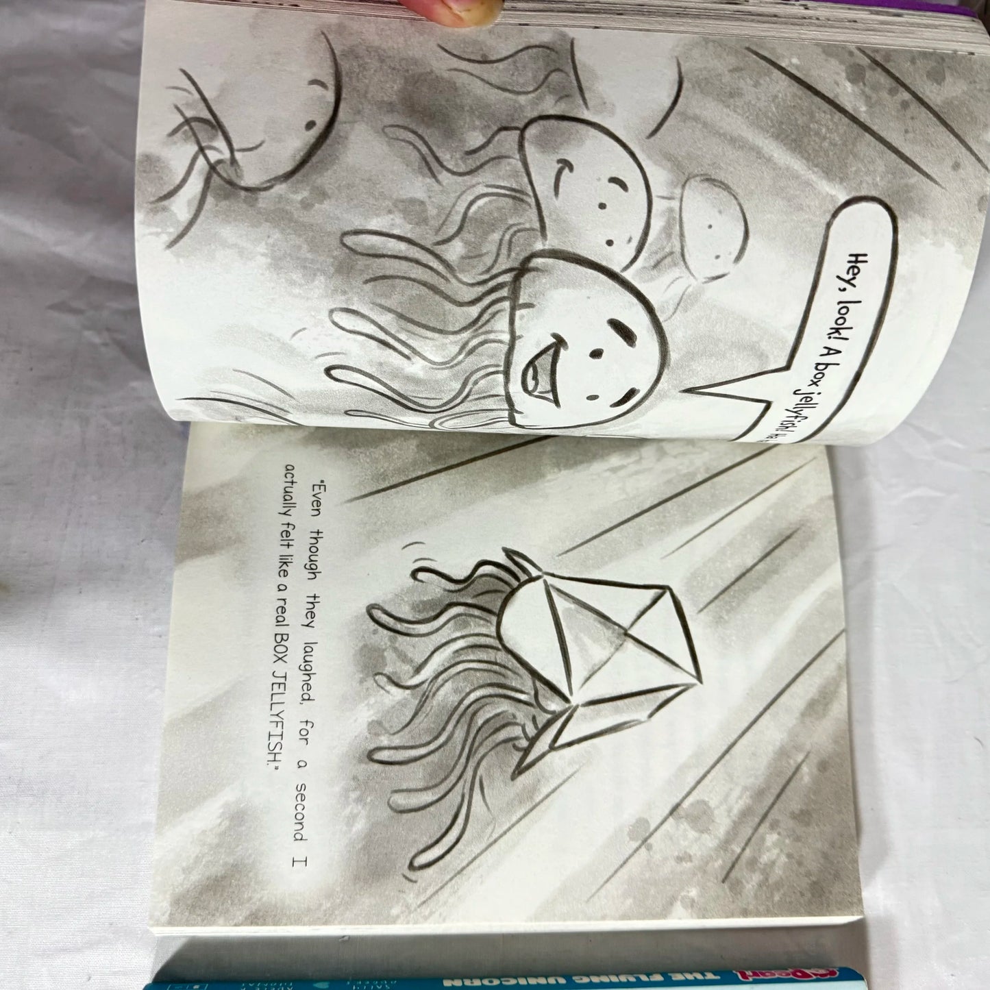 Children's Illustrated Chapter Book Bundle x 2 Books