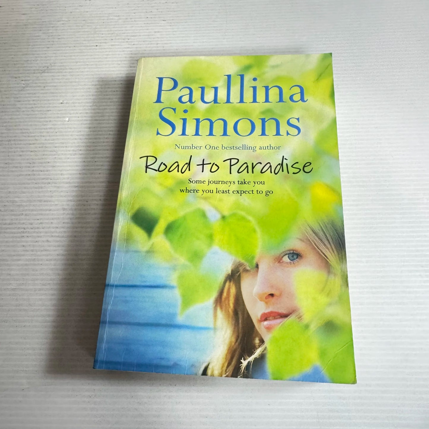 Road To Paradise - Paullina Simons